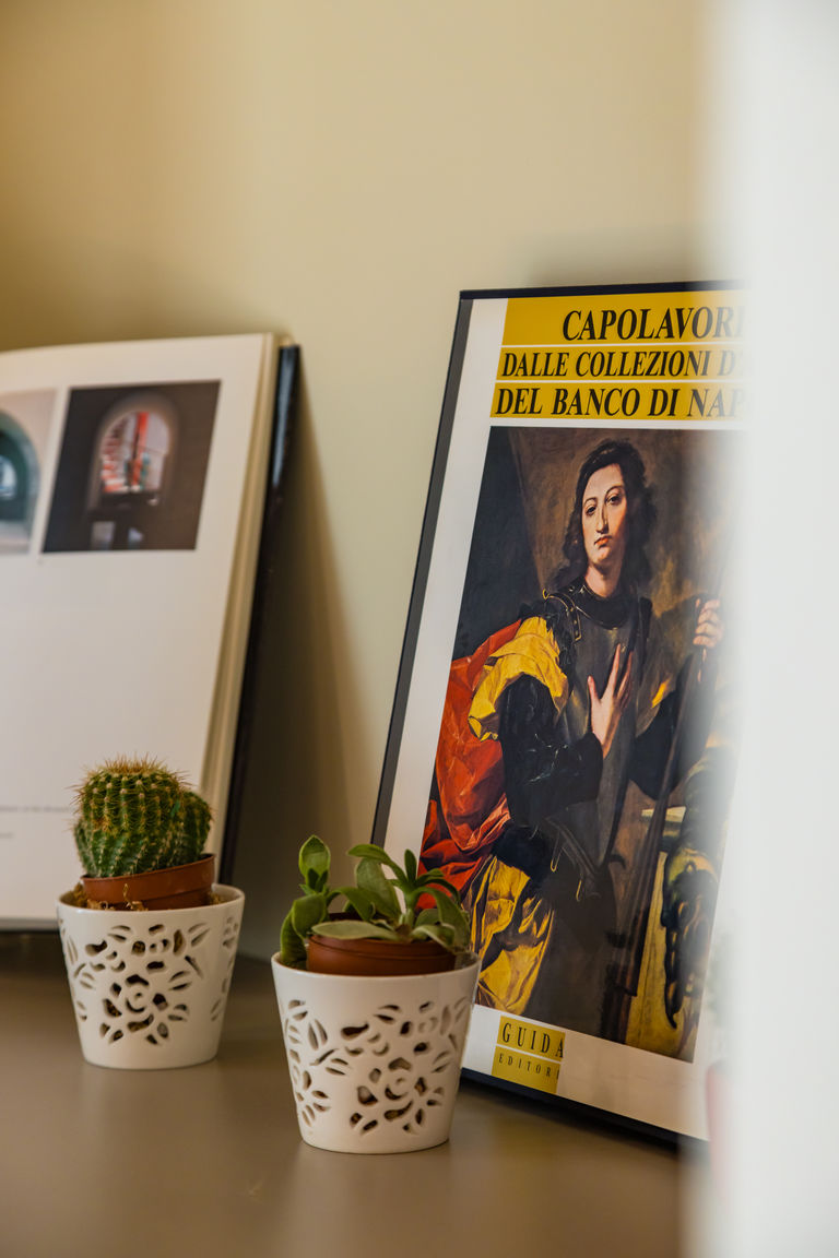 Italianway Napoli La Pinacoteca - F. Solimena