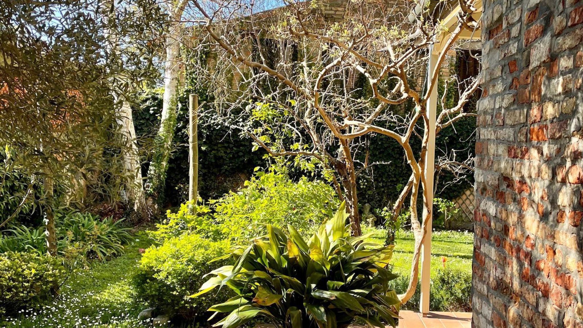 Italianway Venezia Un jardin à Venise