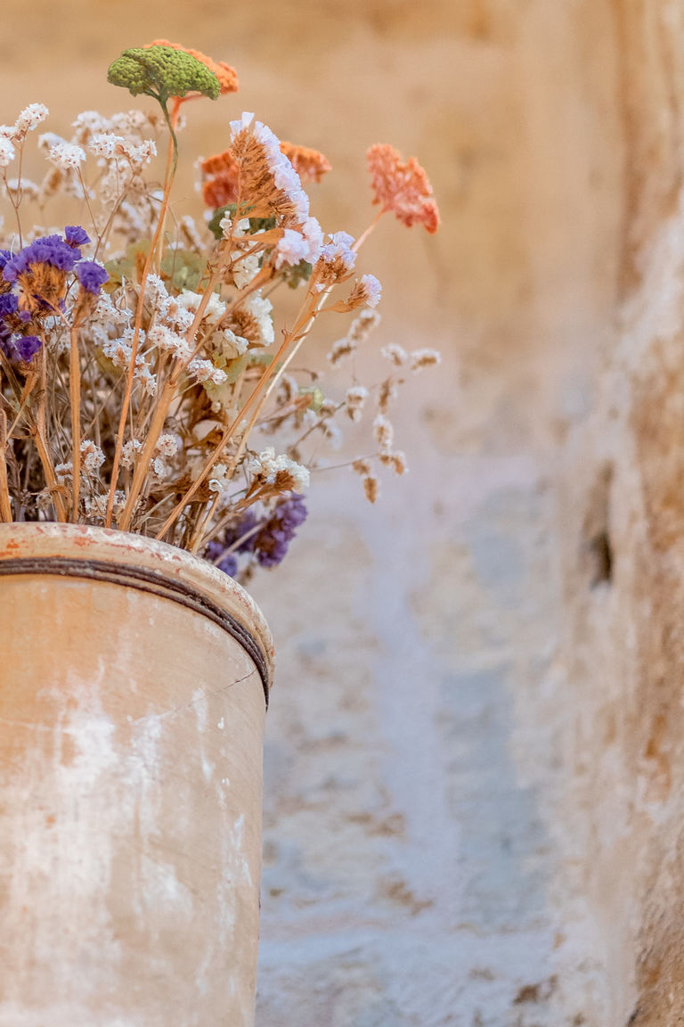 Italianway Spongano La casa di Zio Pippi - Artemisia Homes