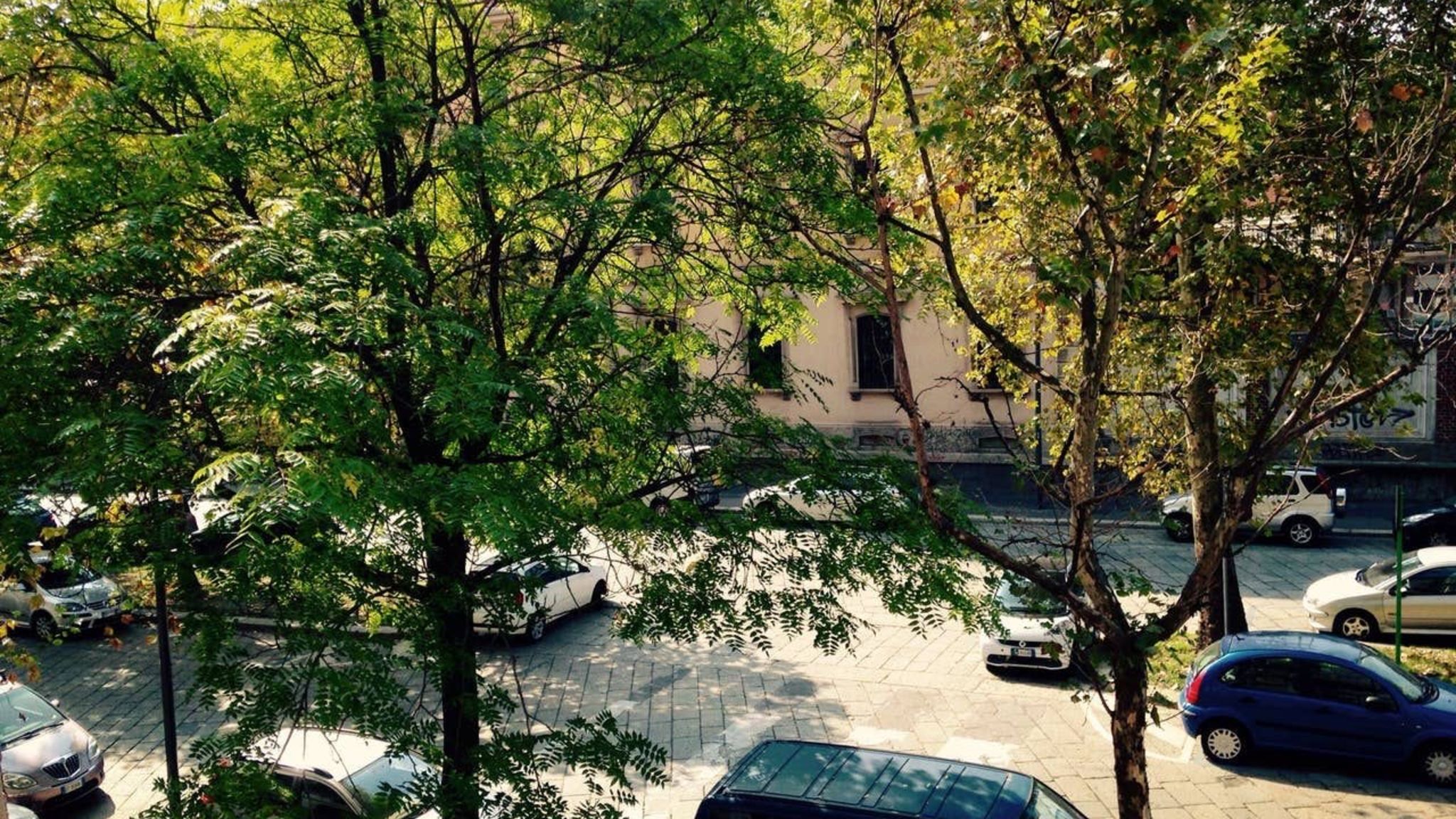 HoMIe Milano Valtellina 10_Trilo