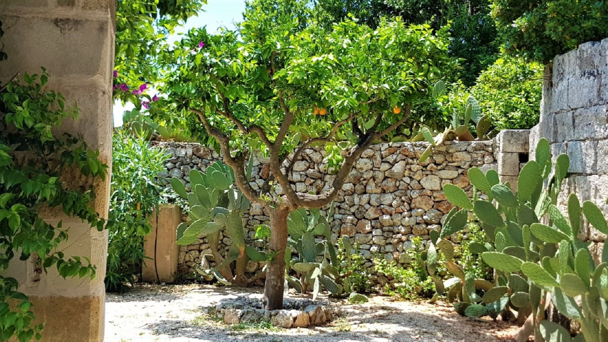 1600 Old Mill in village w/pool - Artemisia Homes