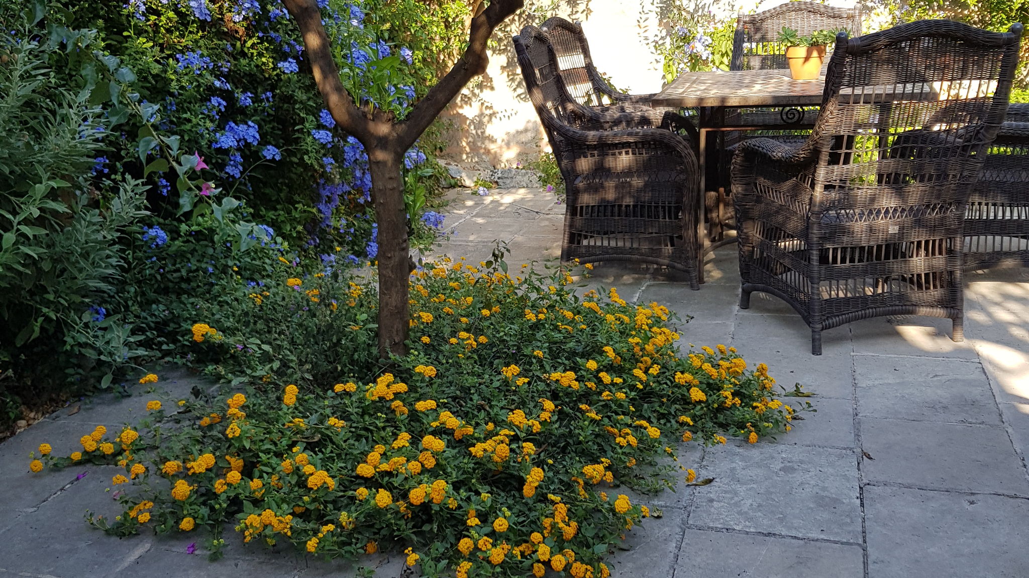 1600 Old Mill in village w/pool - Artemisia Homes