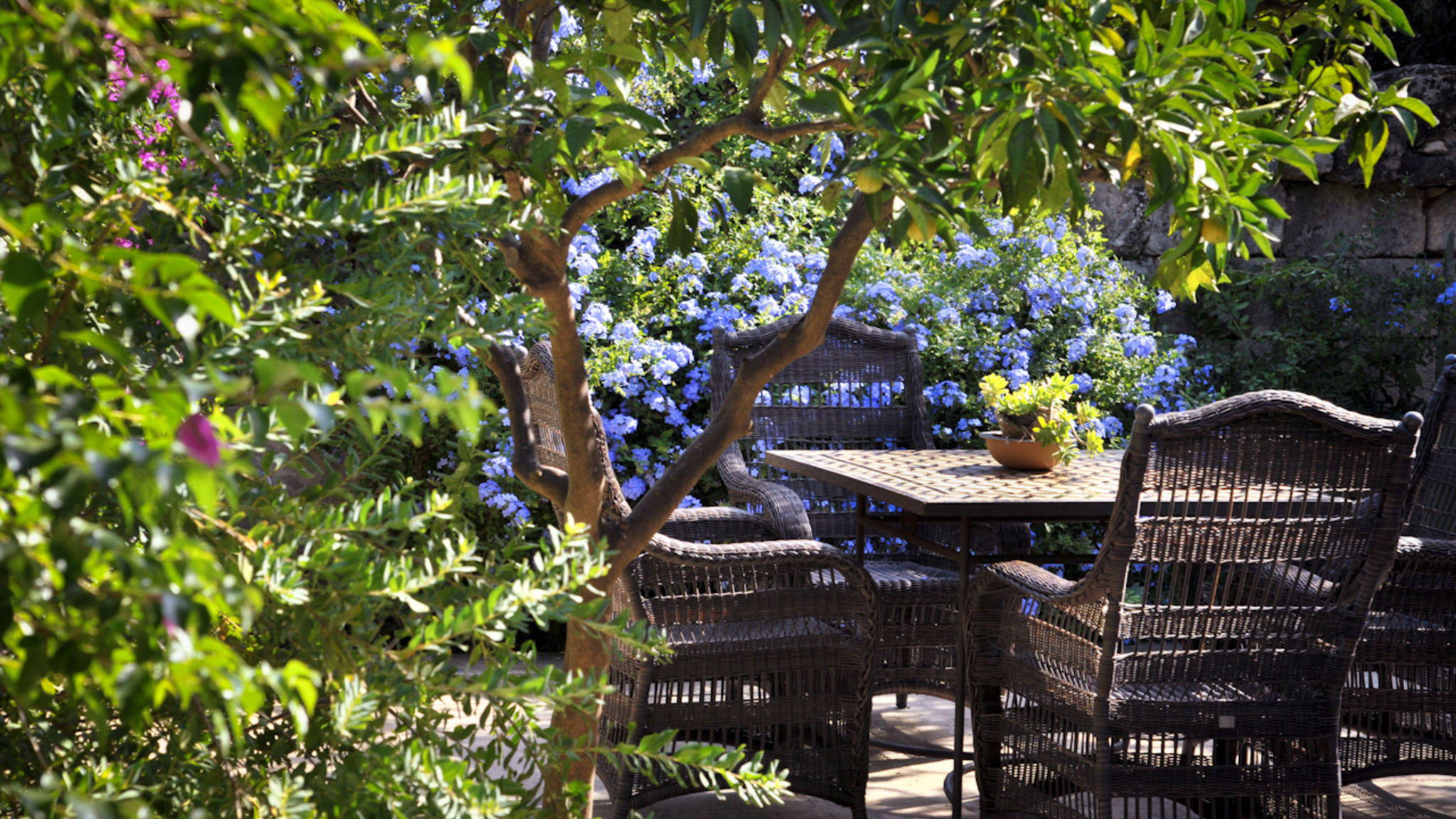 Il Giardino degli Aranci w/pool - Artemisia Homes