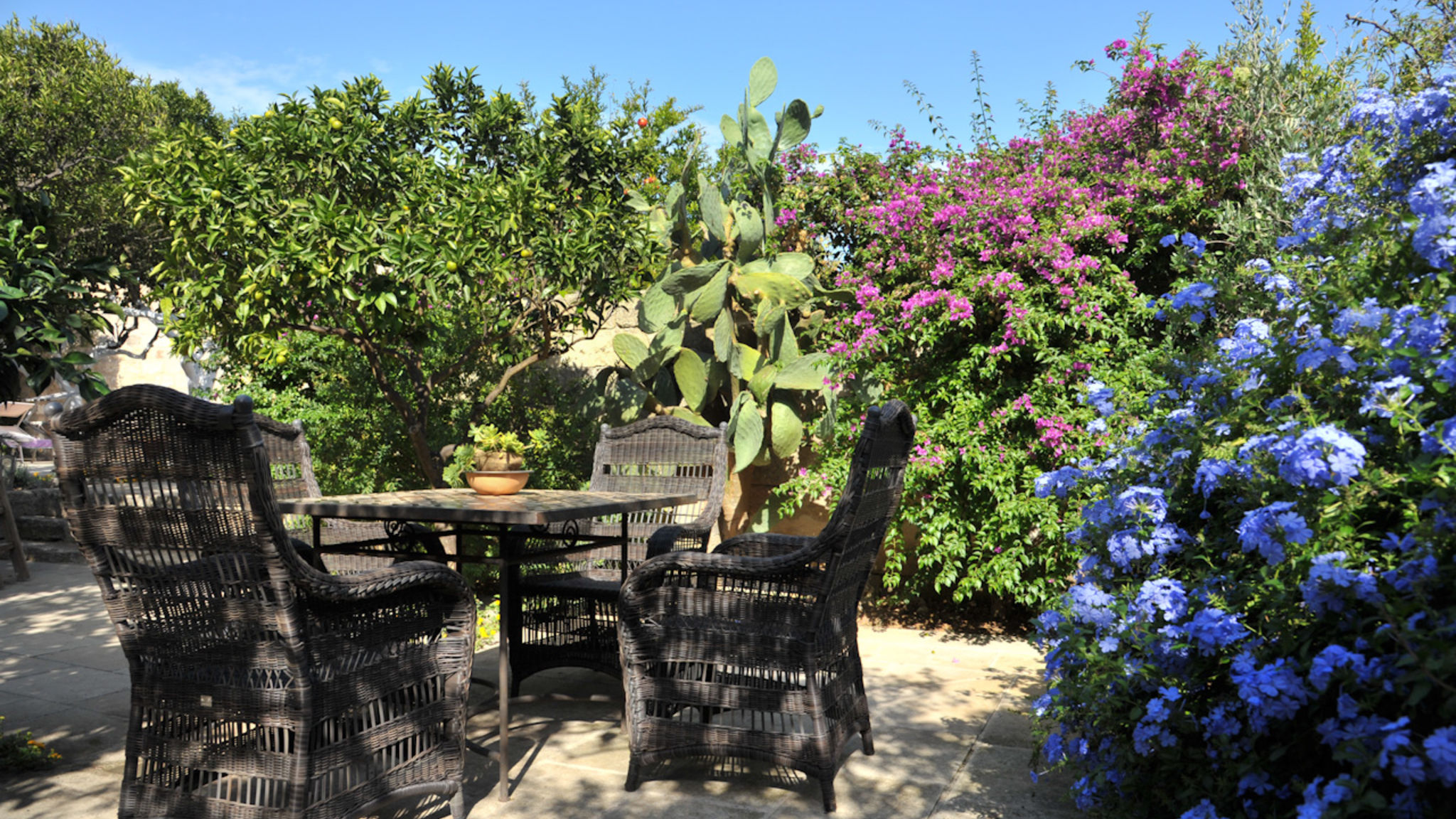 Il Giardino degli Aranci w/pool - Artemisia Homes