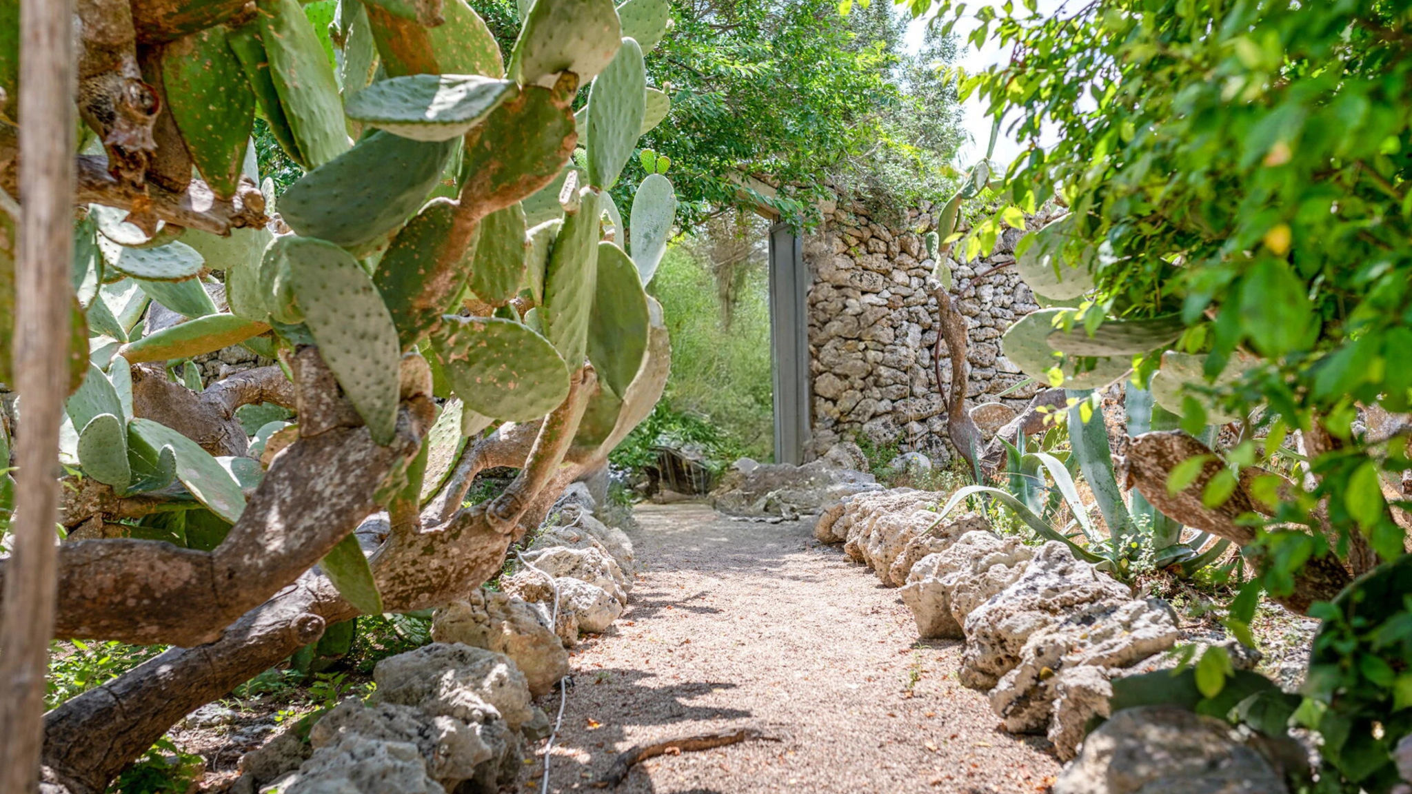 Italianway Maglie 3Rooms in ancient Masseria w/pool- Artemisia Homes