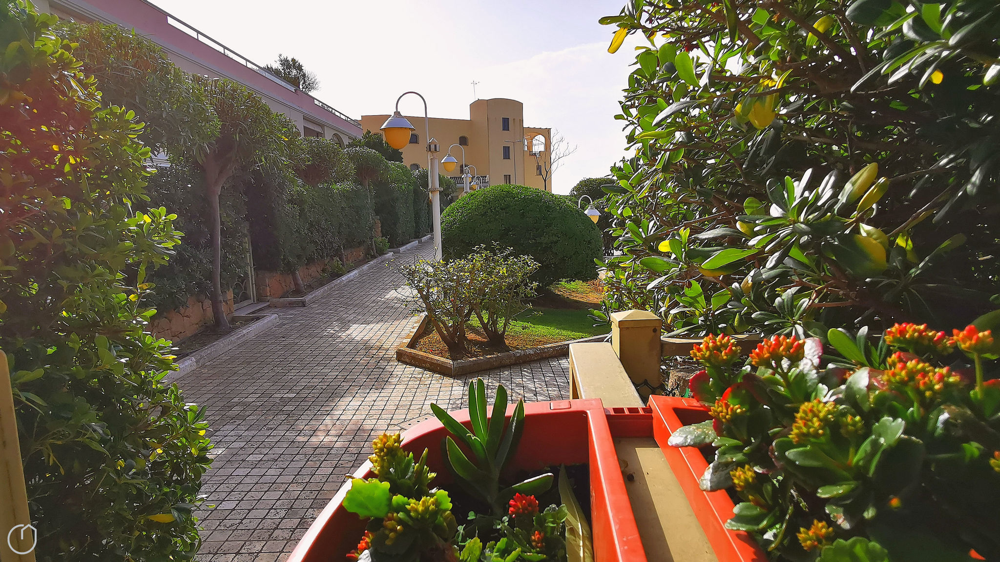 Italianway Alghero Nulauro 31