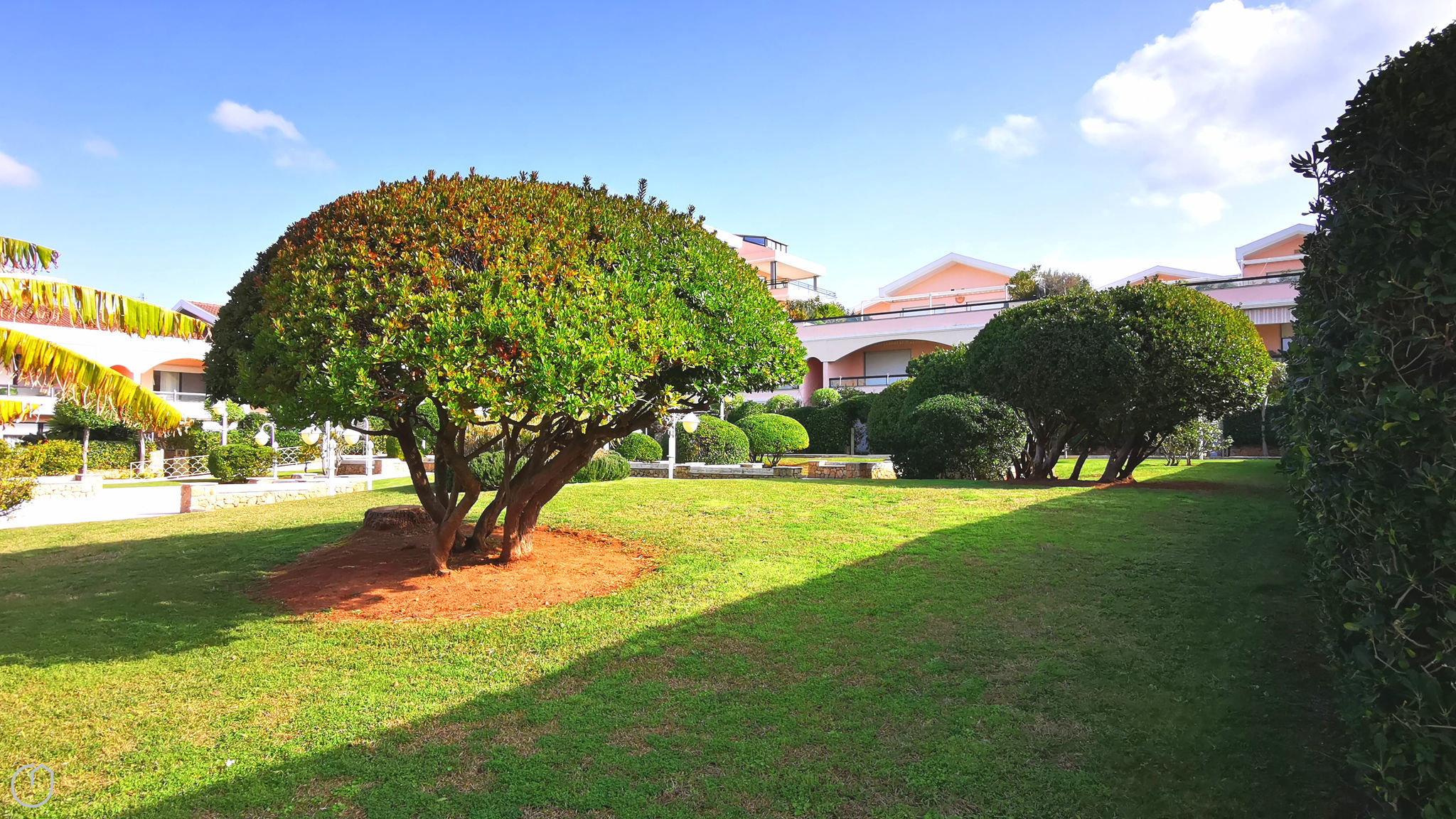 Italianway Alghero Nulauro 31