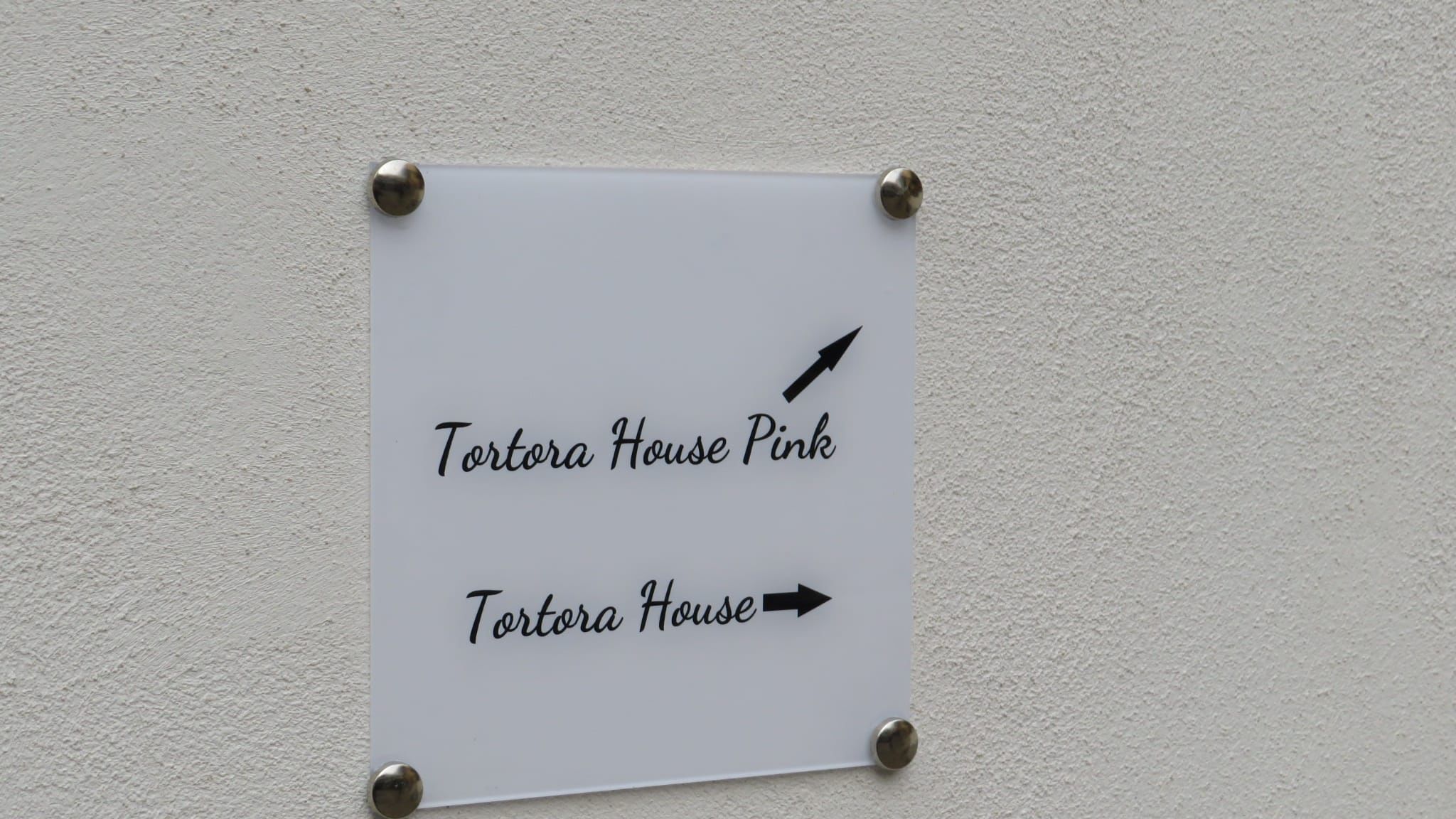 Tortora House Pink
