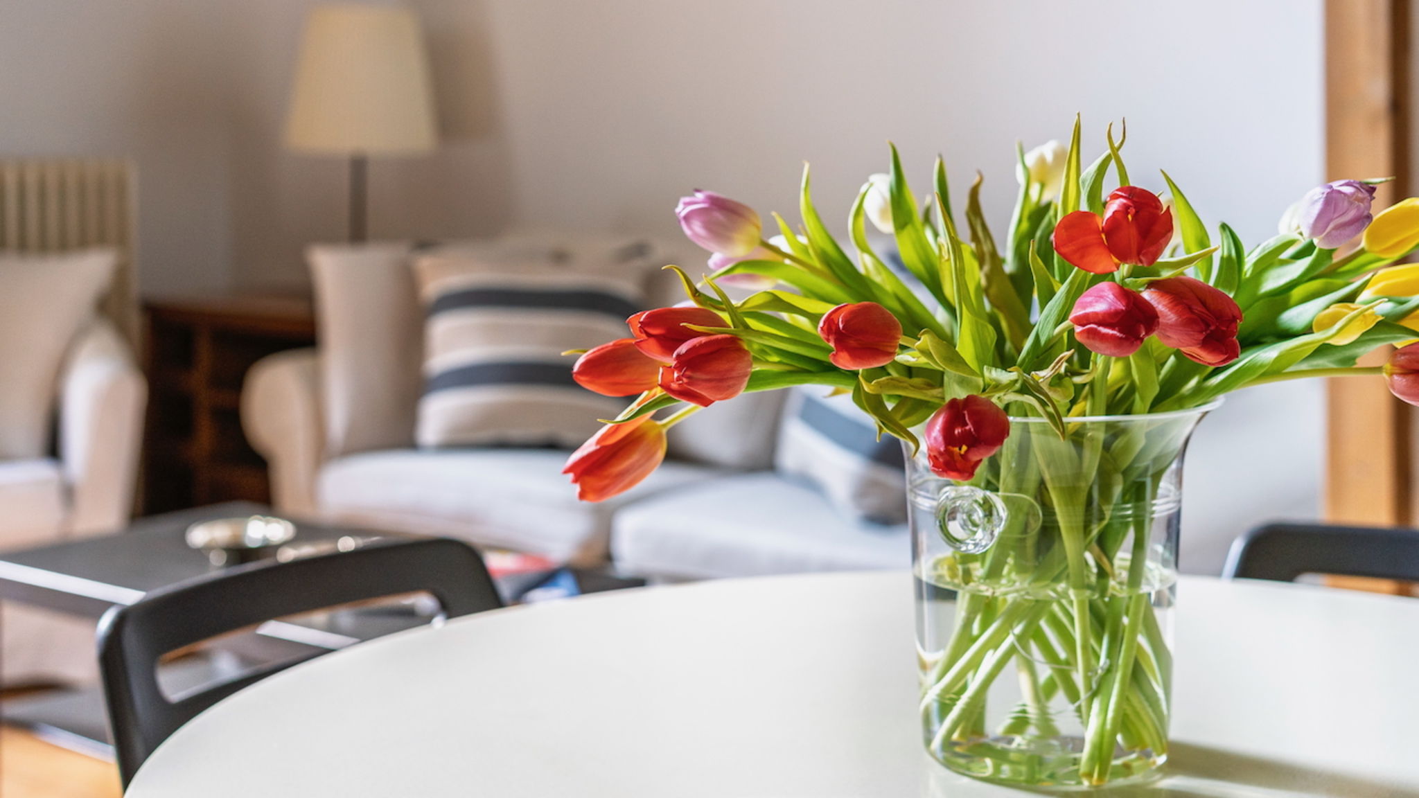 Italianway Firenze Da Vinci Suite - Florence Dolce Vita