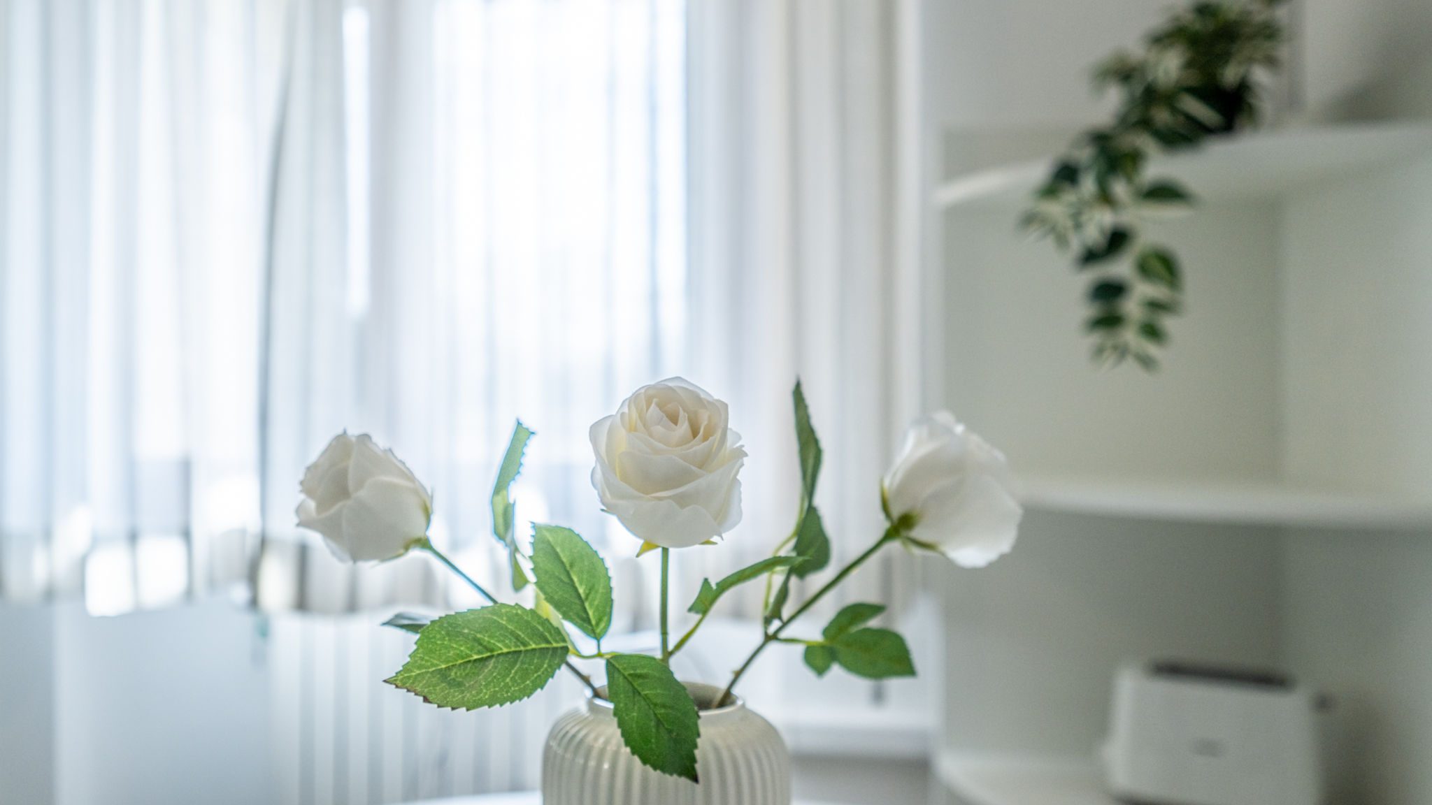 Italianway Rosignano Marittimo Casa di Jeanbe by Pleiades Home