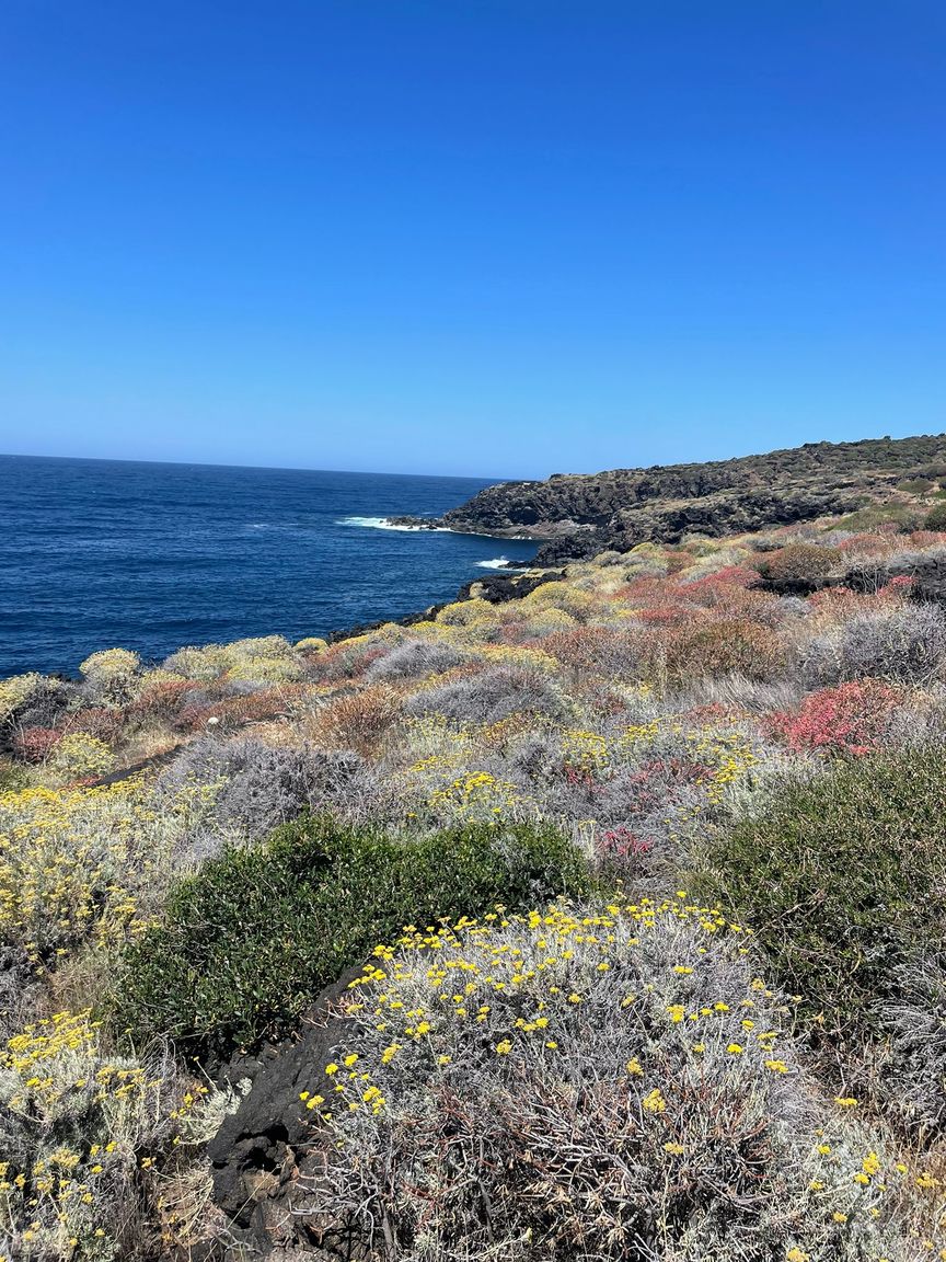 Italianway Pantelleria Dammuso Raggio di Luna