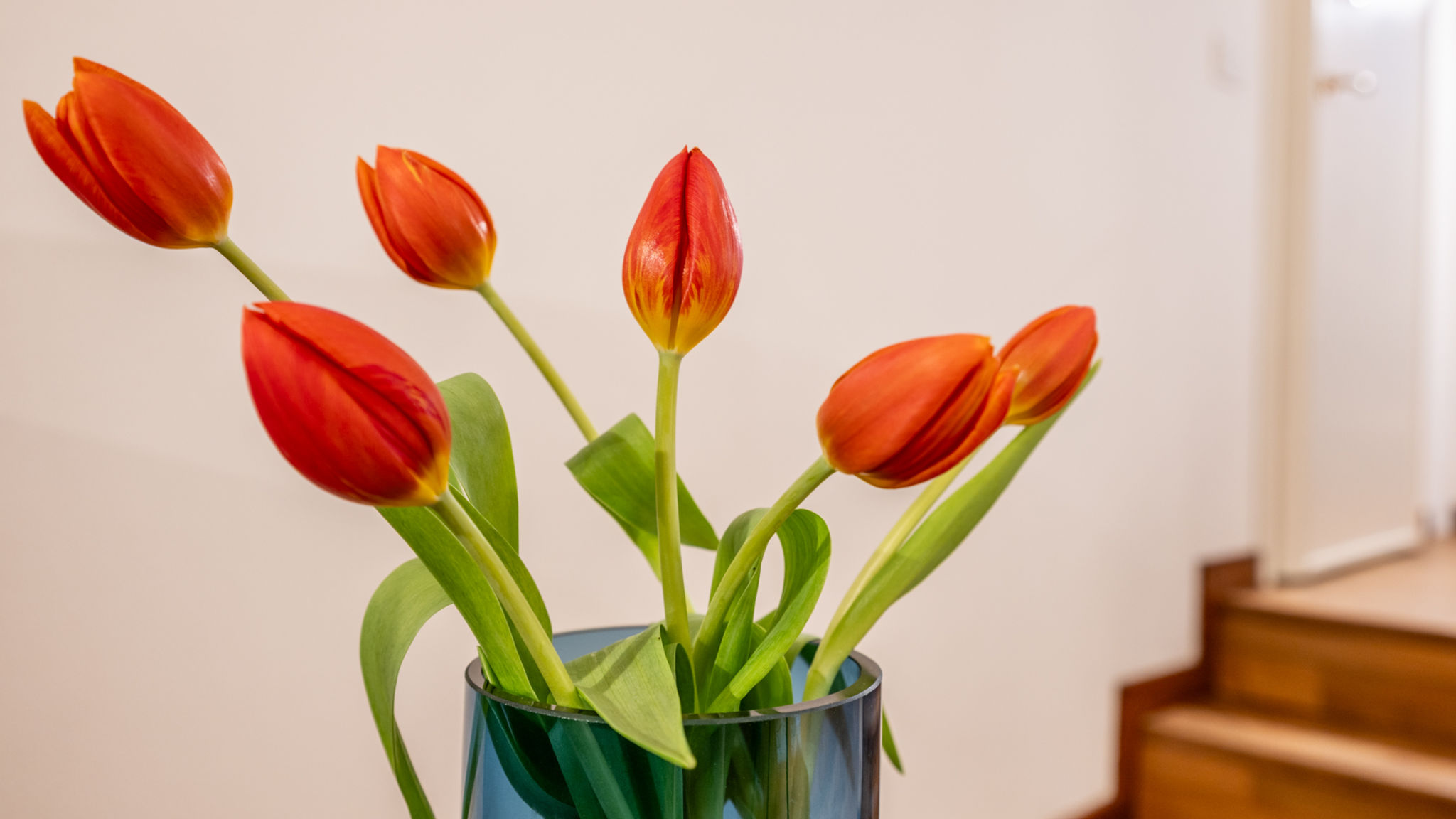 Italianway Livorno Velvet Stay | Ravizza 41 by Pleiades Home