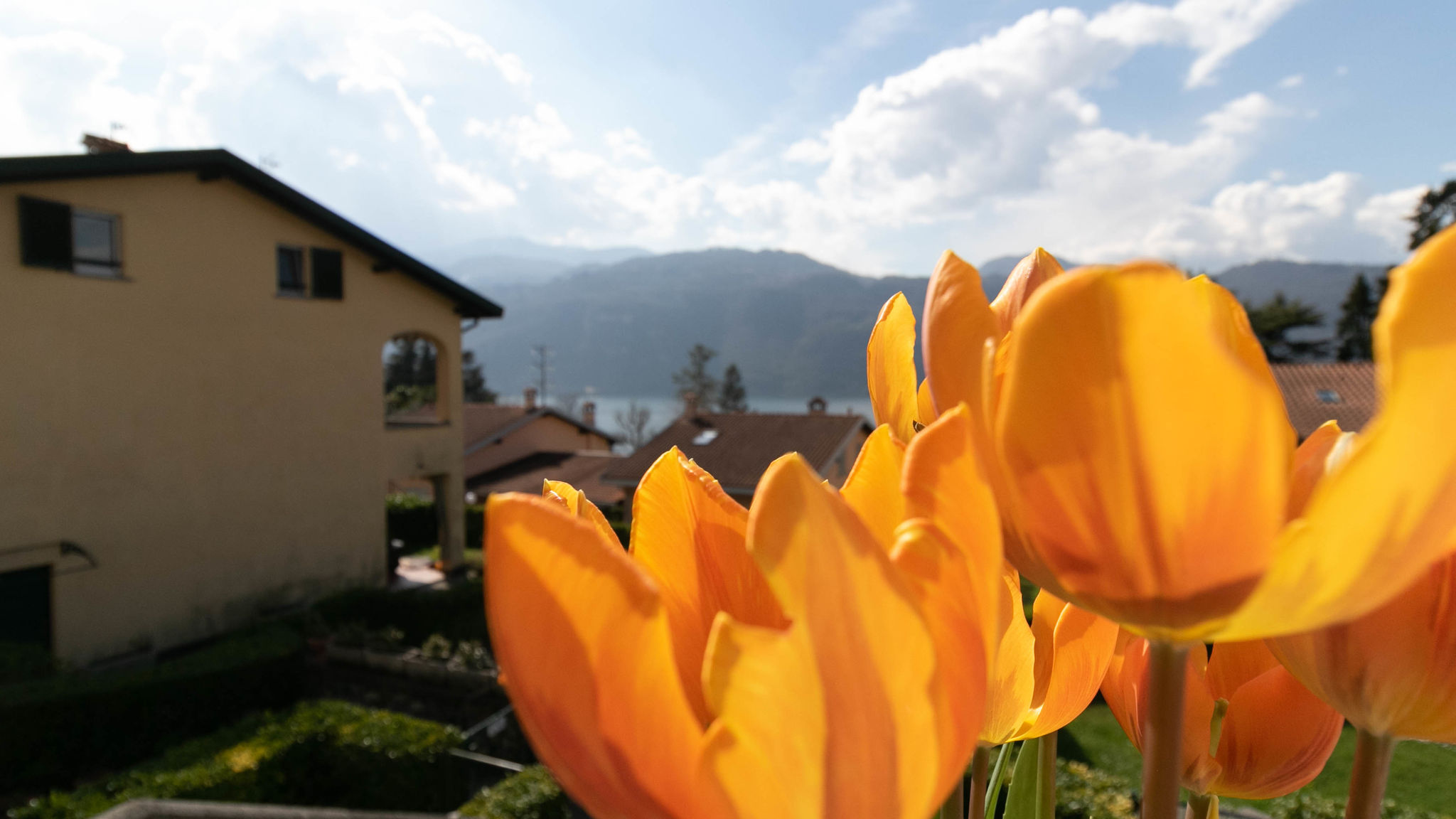 Italianway Lierna K&G Lierna Lake View