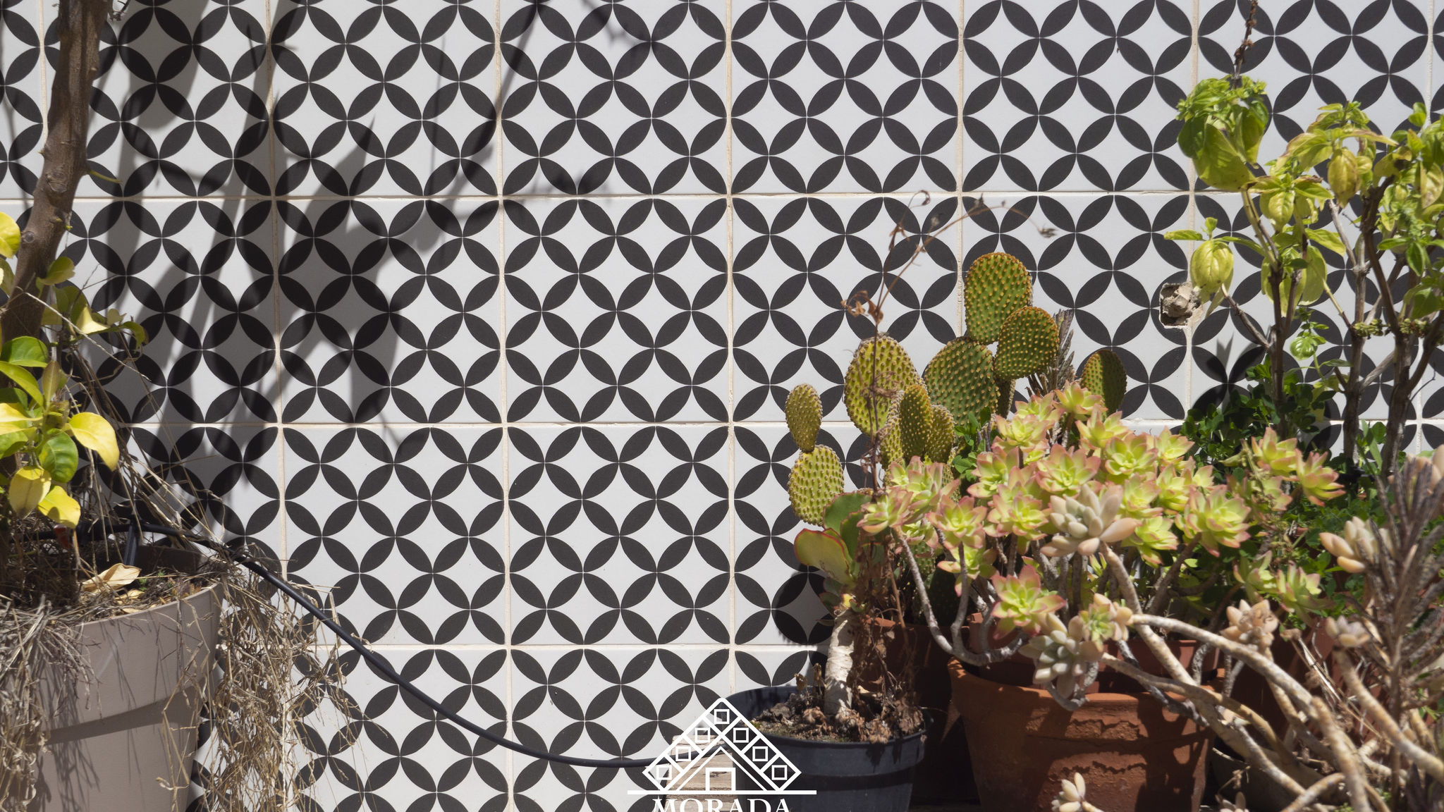 Italianway Cagliari Giardini 62 - Morada