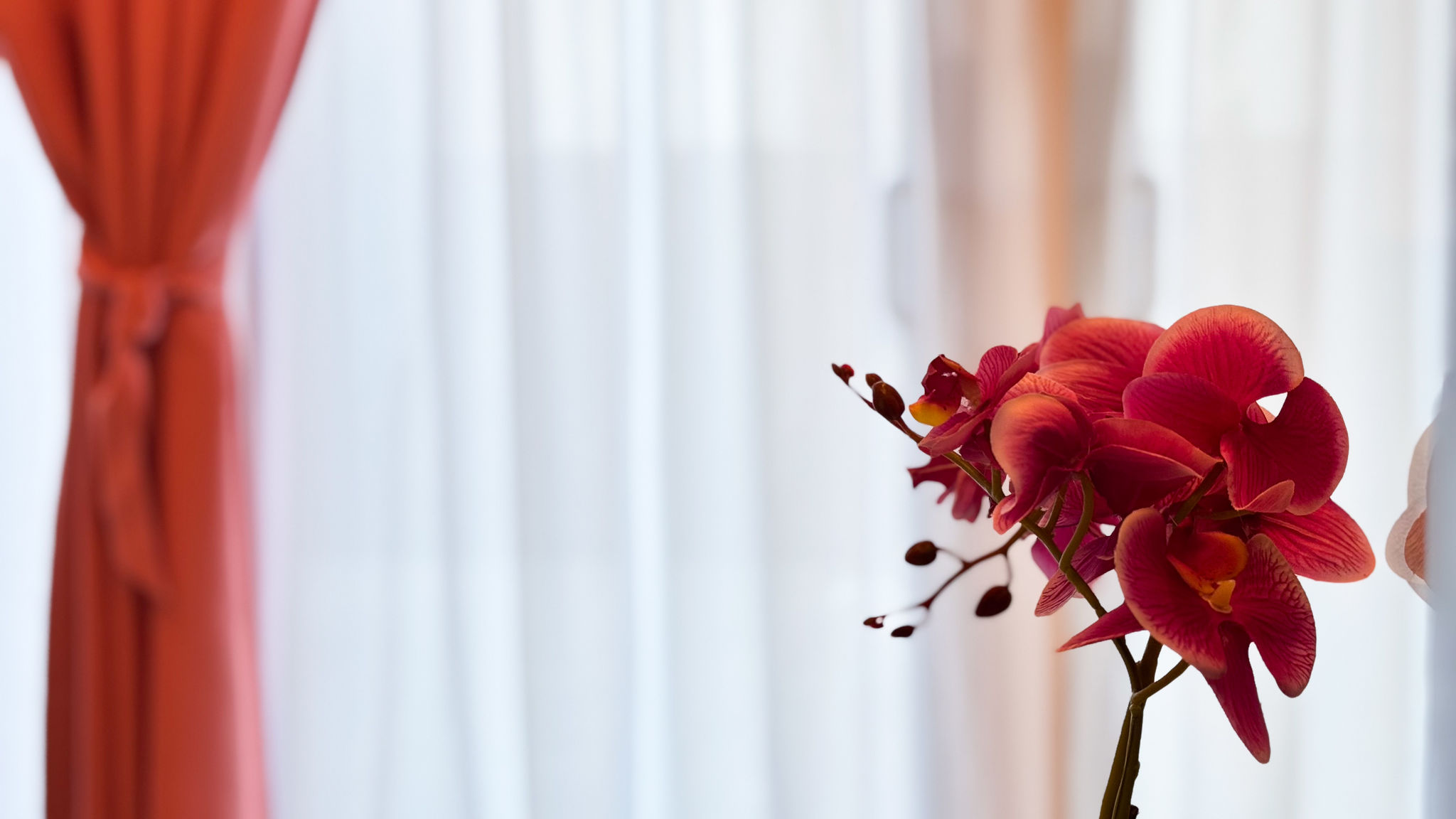 Italianway Chioggia Ca Teresa Petalo by Ca-Sa Check