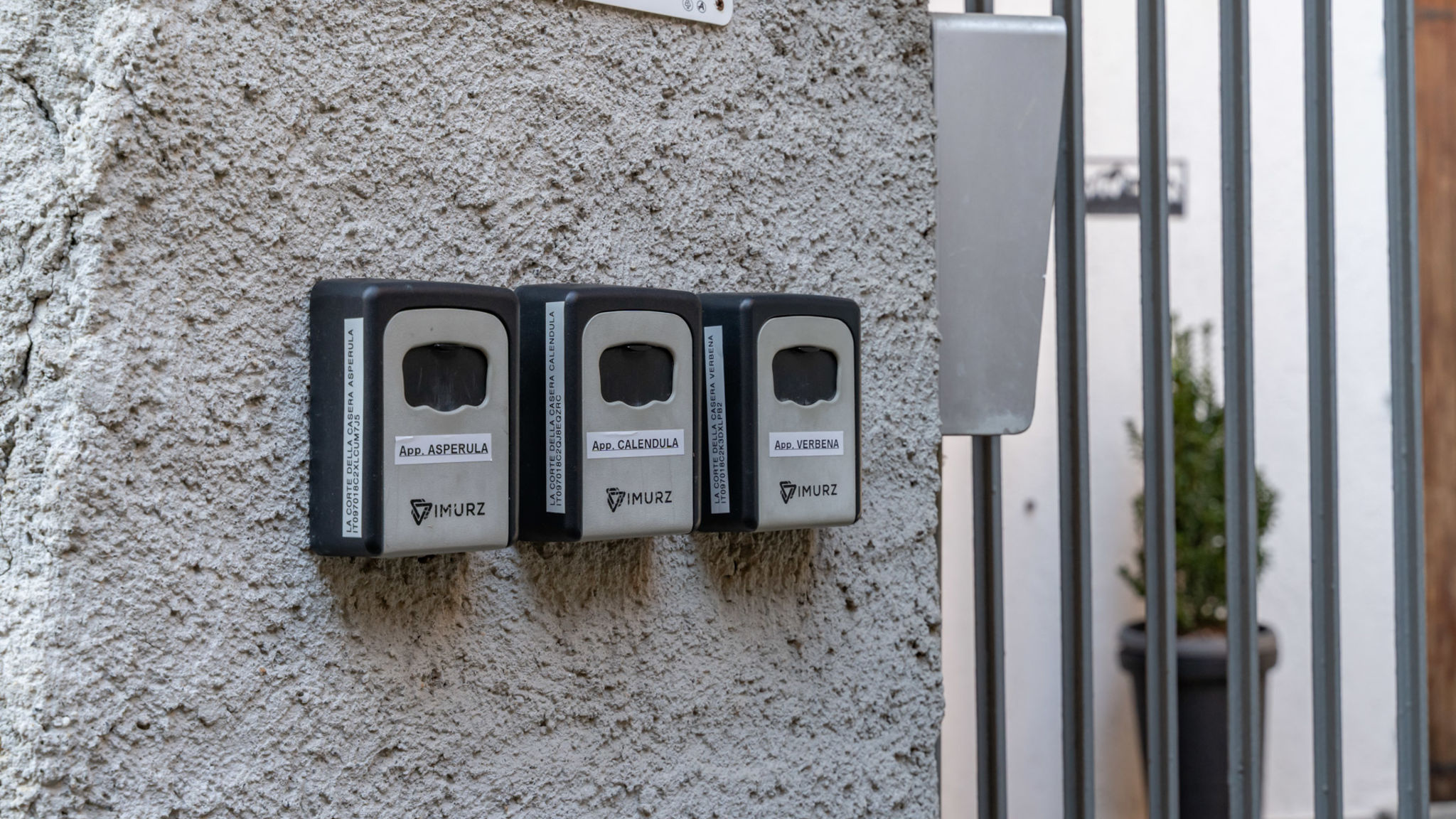 Nativoo Cassina Valsassina La corte della Casera - Asperula