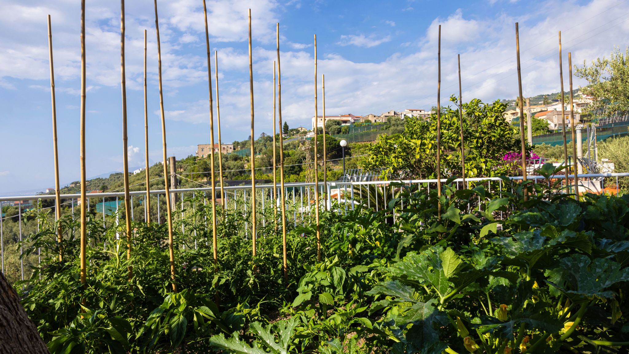 Italianway Massa Lubrense Villa Incanto by Elite Villas