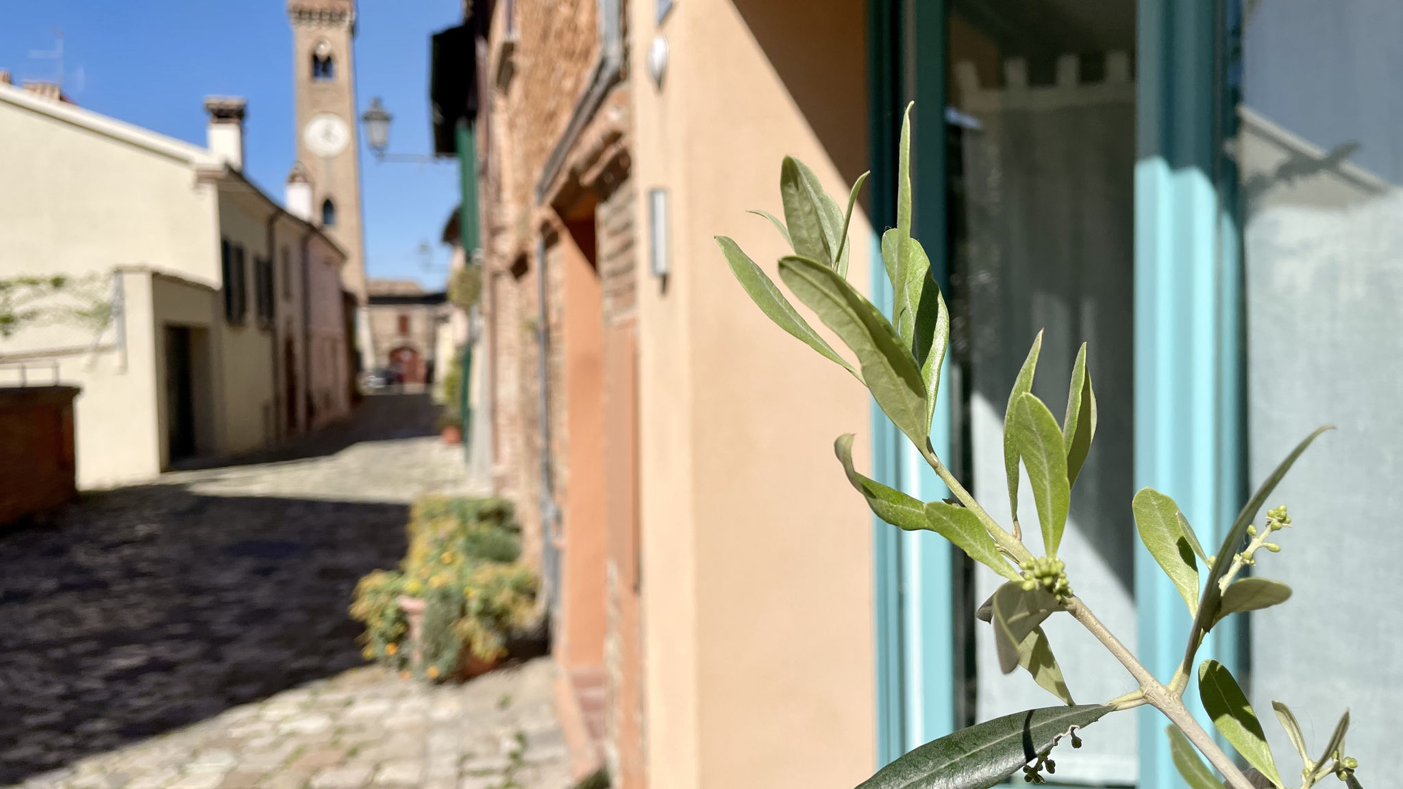 NOMASTAY SRL Santarcangelo di Romagna Nel Cuore di Santarcangelo – Casa Bellaere