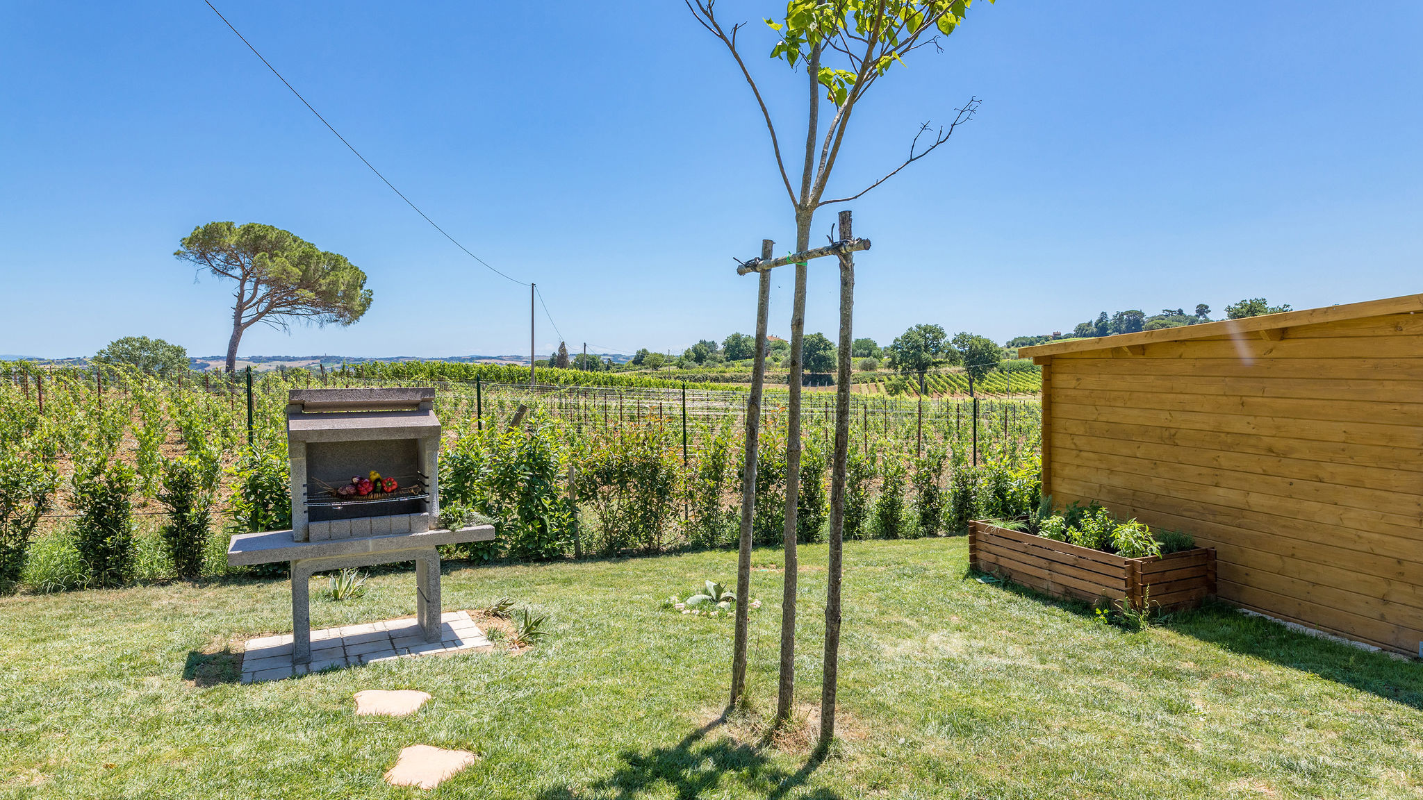 Italianway Montepulciano Il Grillo 10