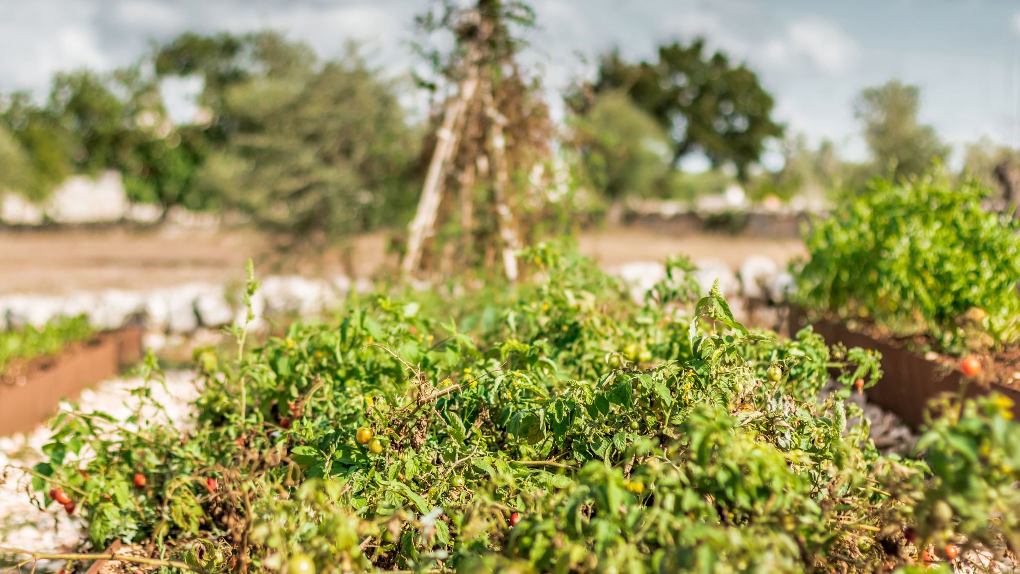 Italianway Cisternino Trullo delle Muse by Elite Villas