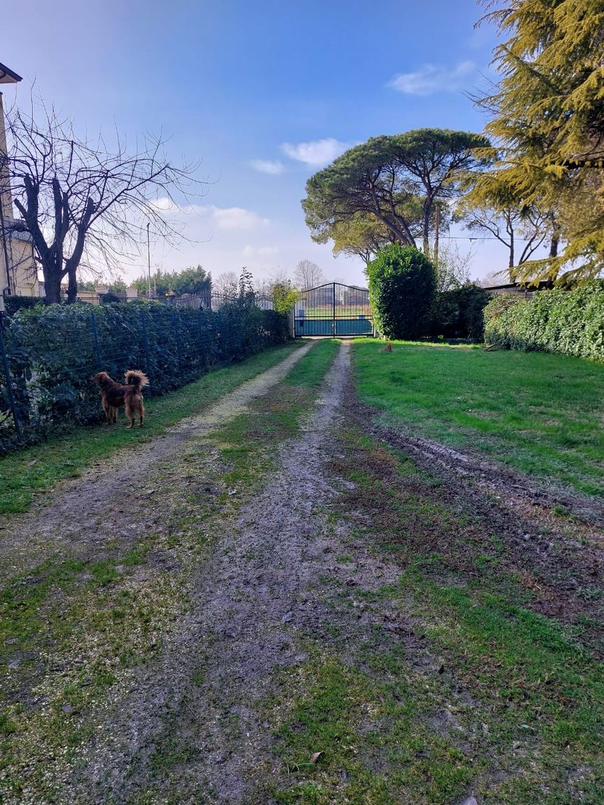 Italianway San Michele al Tagliamento B&B Origa Private Pool