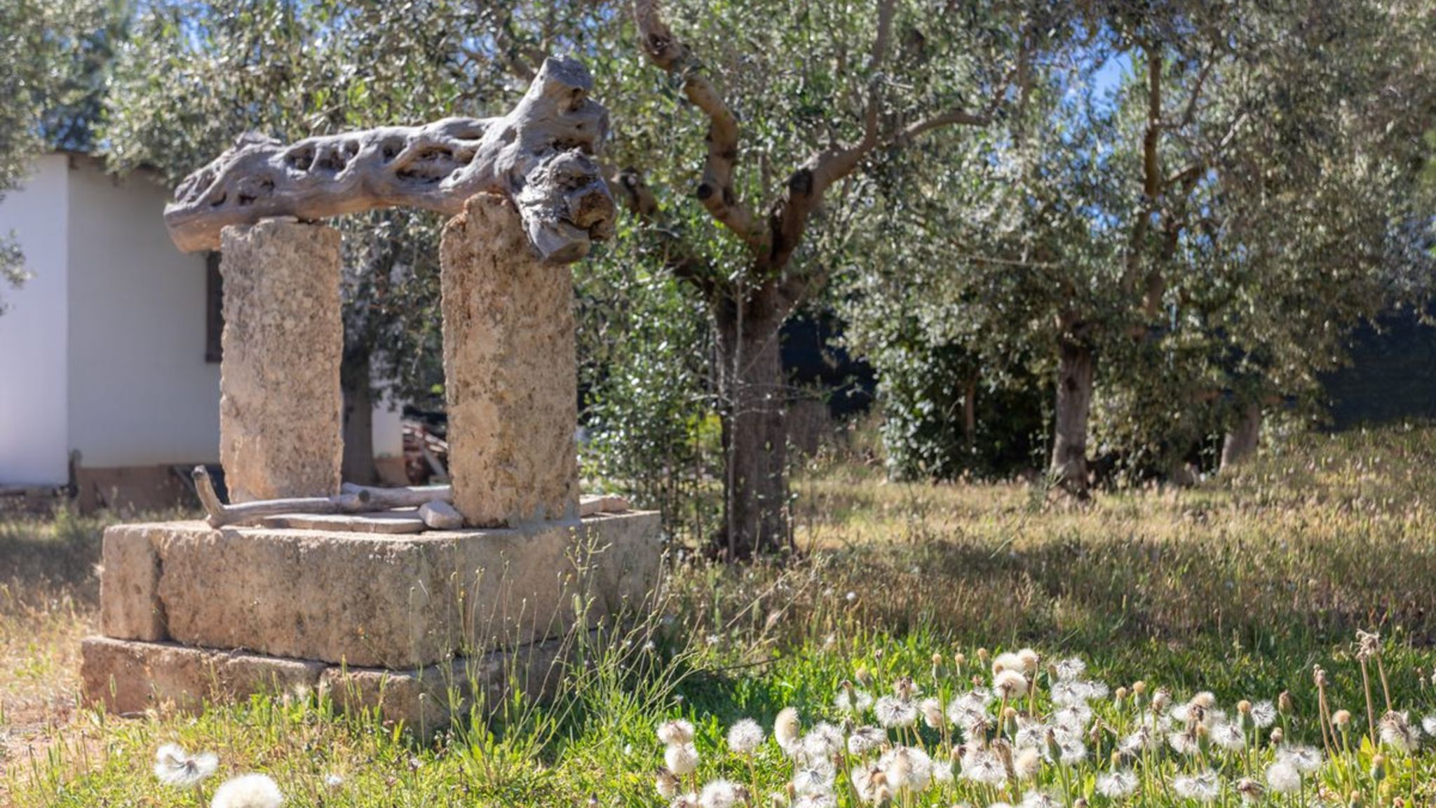 Salento Reservation Gallipoli Baita Loredana - Salento Reservation