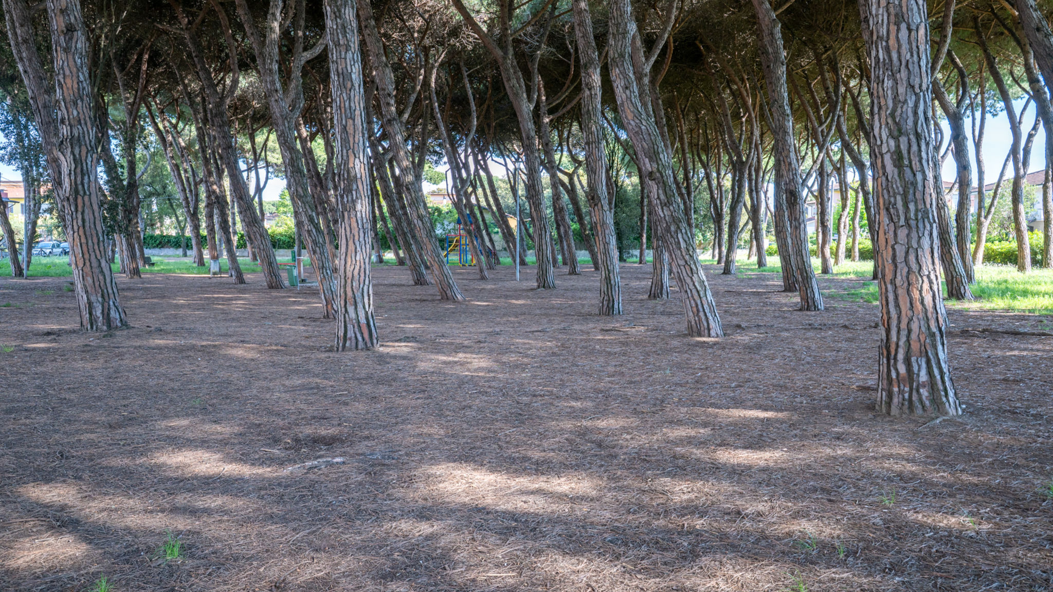 Italianway Camaiore La Veranda di Marconi