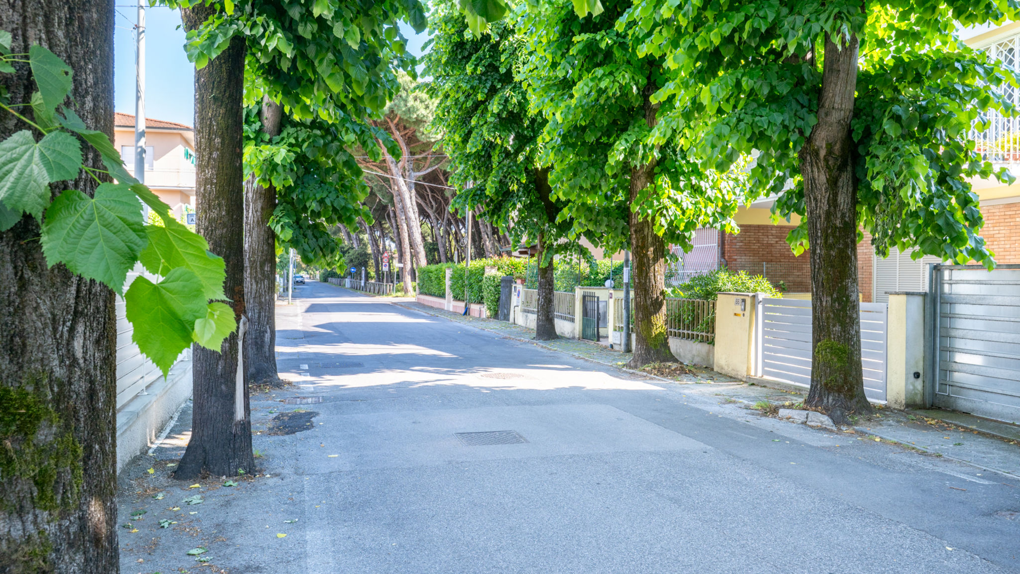 Italianway Camaiore La Veranda di Marconi