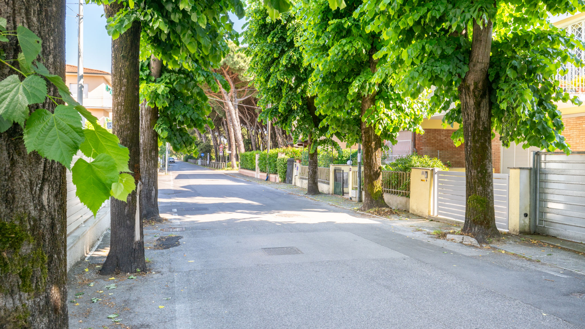 Italianway Camaiore La Veranda di Marconi