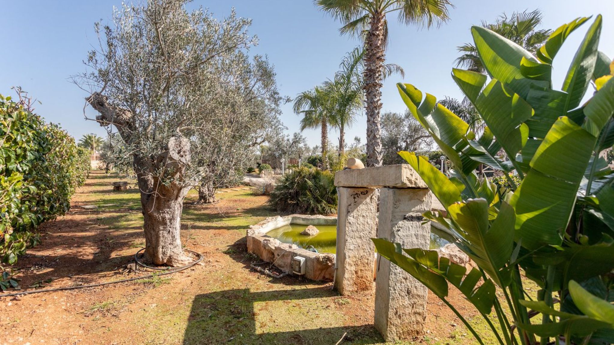 Salento Reservation Racale Tenuta Marghery - Salento Reservation