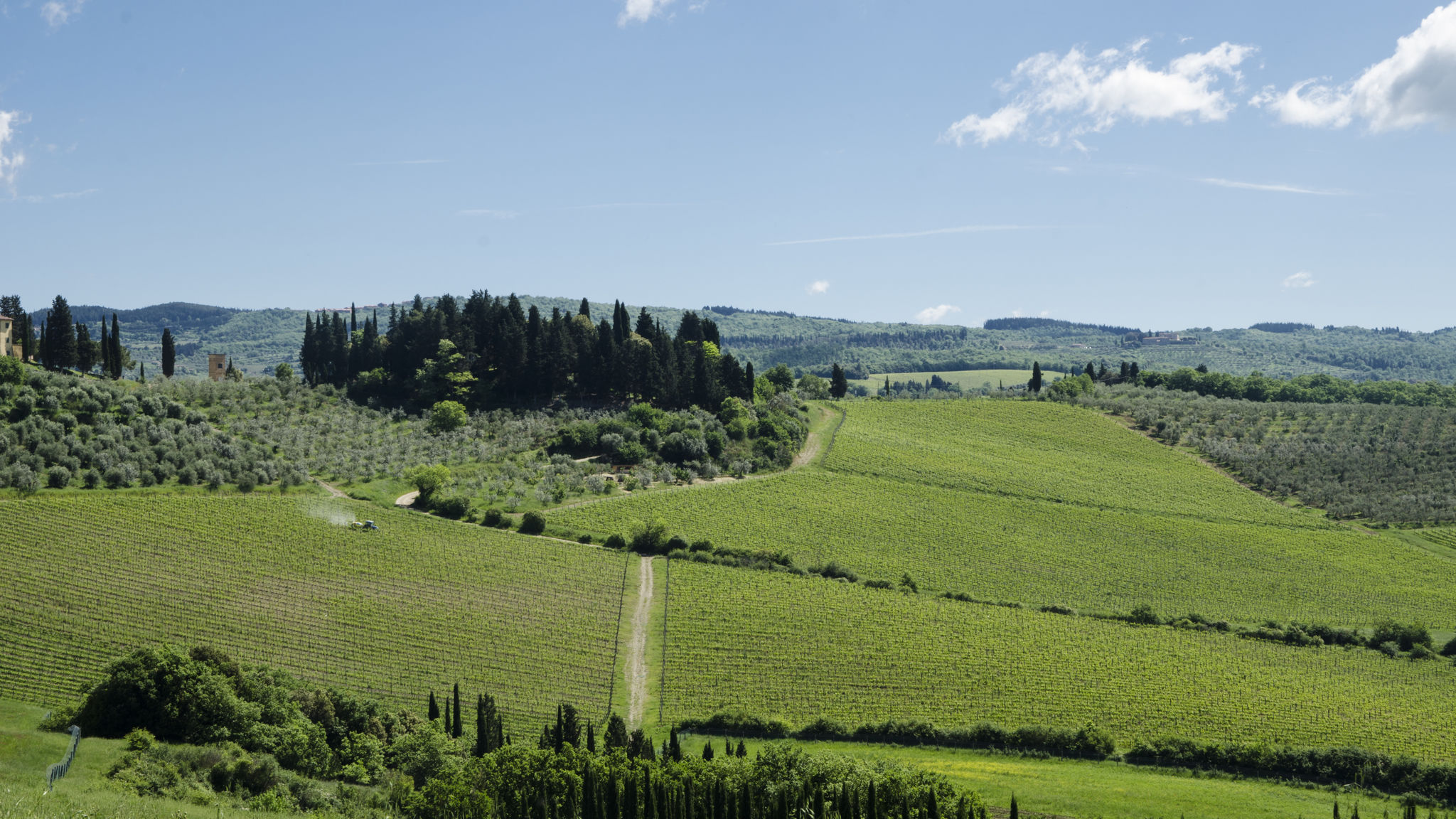 Italianway Castellina in Chianti Chianti Classico Wine Resort Tenuta di Bibbiano - I Sodi
