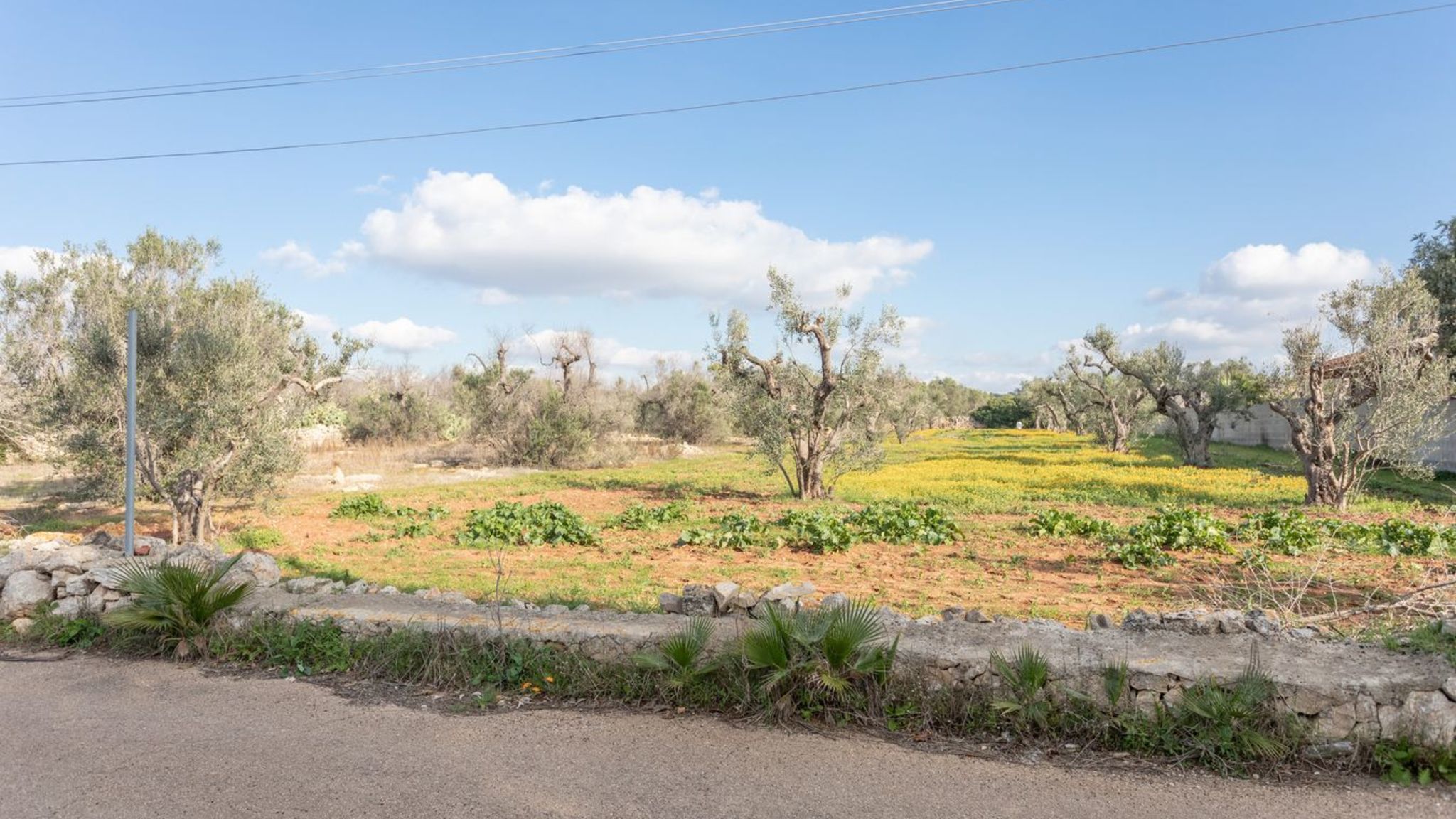 Salento Reservation Racale Villetta Federica - Salento Reservation