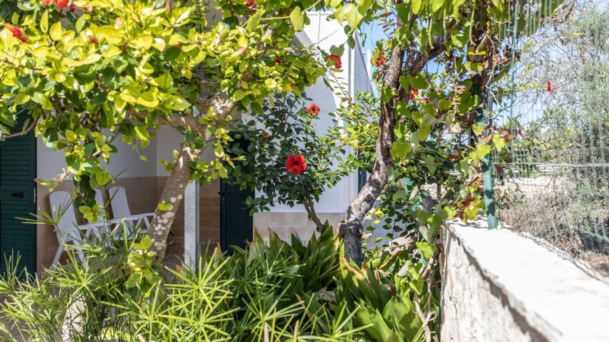 Italianway Taviano Villetta Marika - Salento Reservation