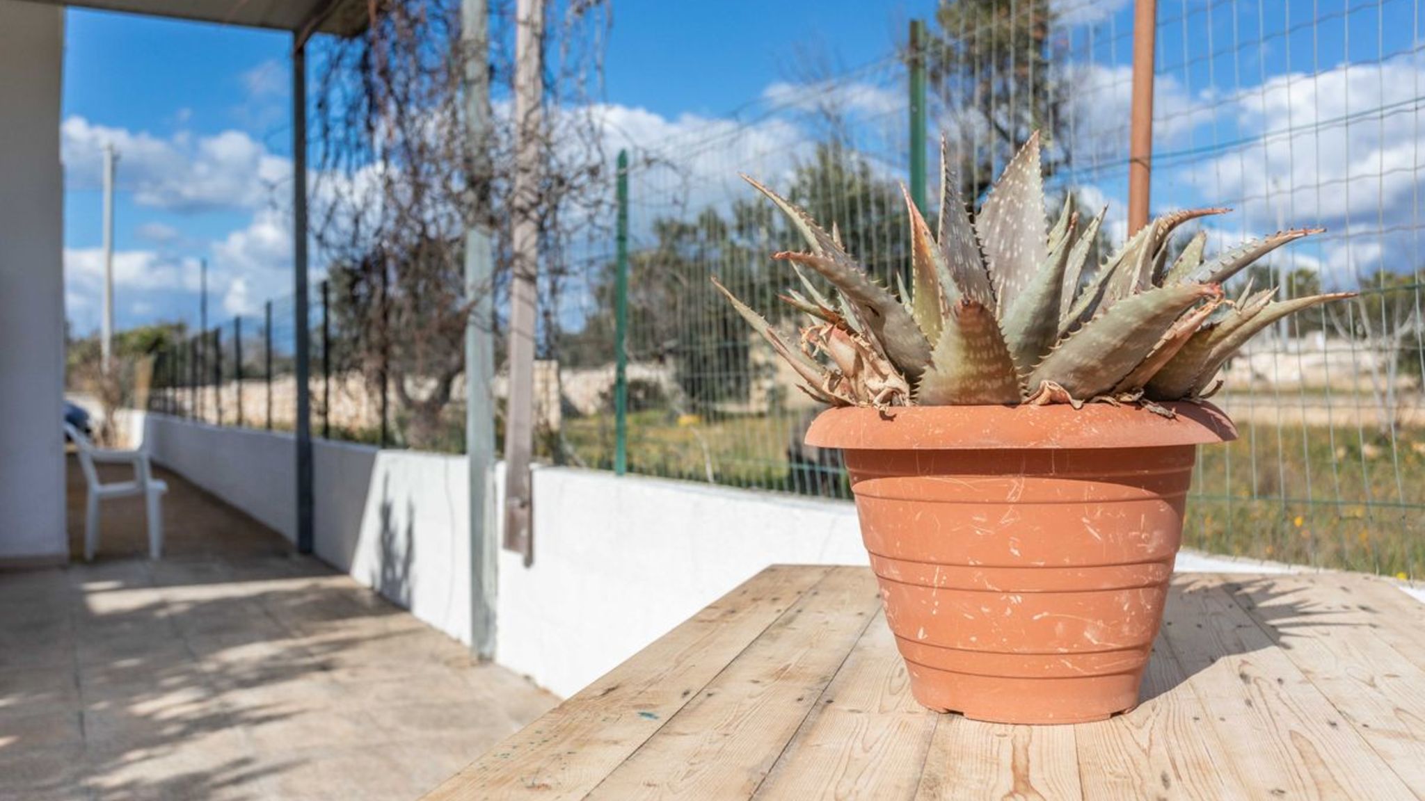 Salento Reservation Taviano Villetta Tiziana - Salento Reservation