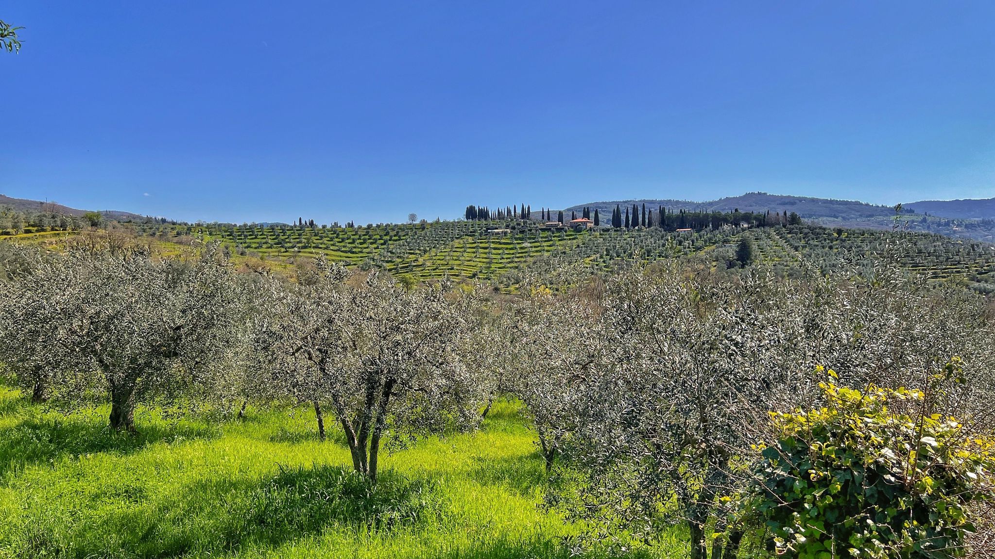 Italianway Capolona Corte di Muciafora 1