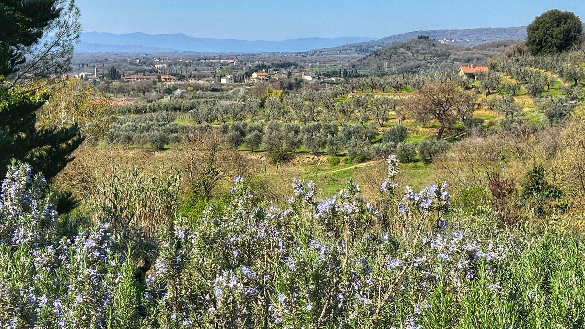 Italianway Capolona Corte di Muciafora 1