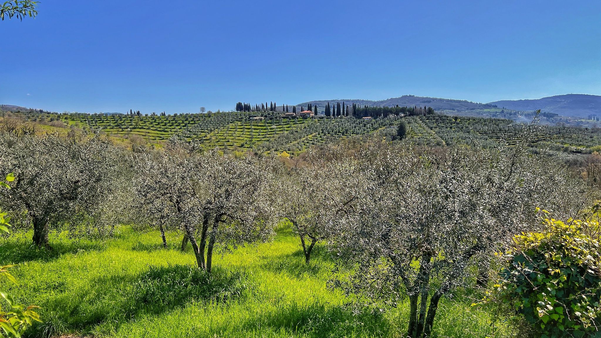 Italianway Capolona Corte di Muciafora Living