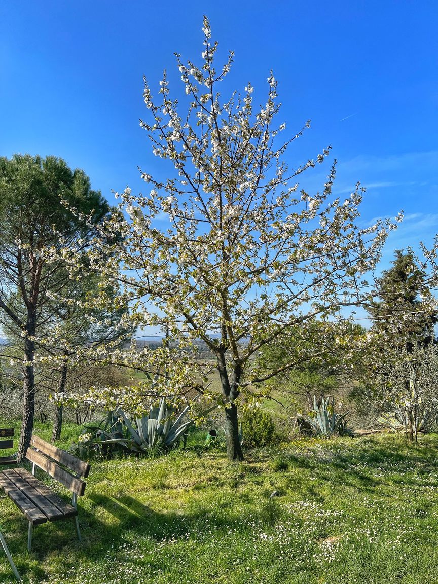 Italianway Capolona Corte di Muciafora Living