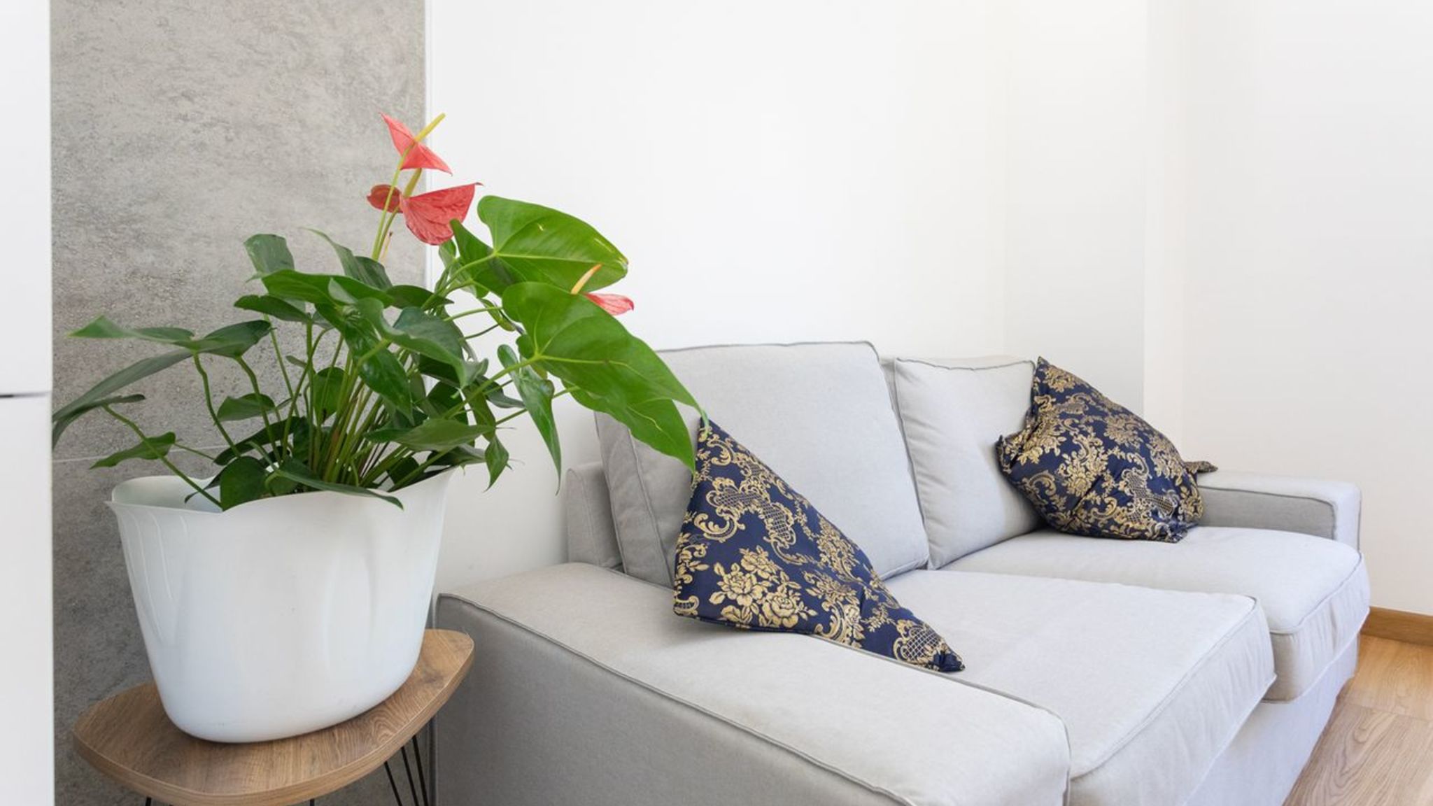 Salento Reservation Gallipoli Bilocale Corso Italia 696 - Salento Reservation