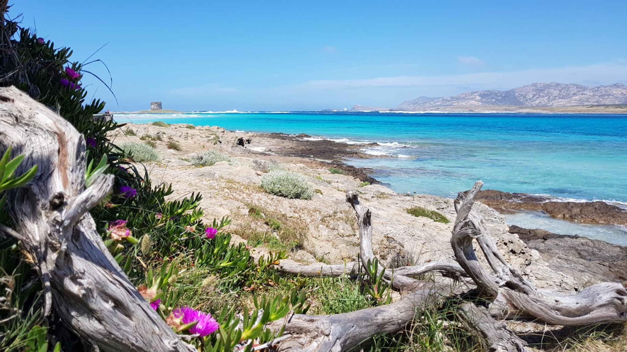 Italianway Alghero Superior: terrazza, park, vicino mare e centro
