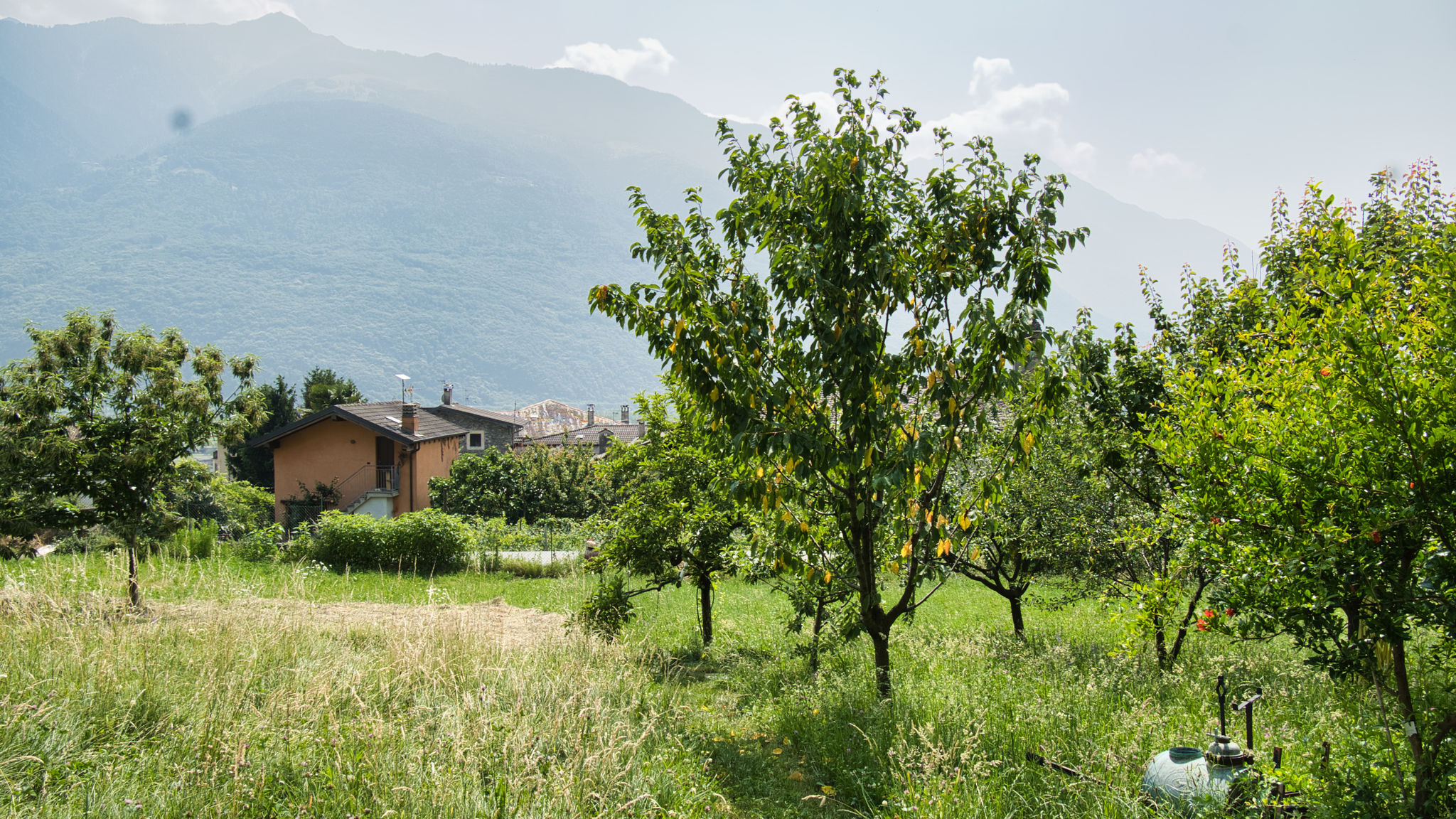 Italianway Traona Il giardino Segreto