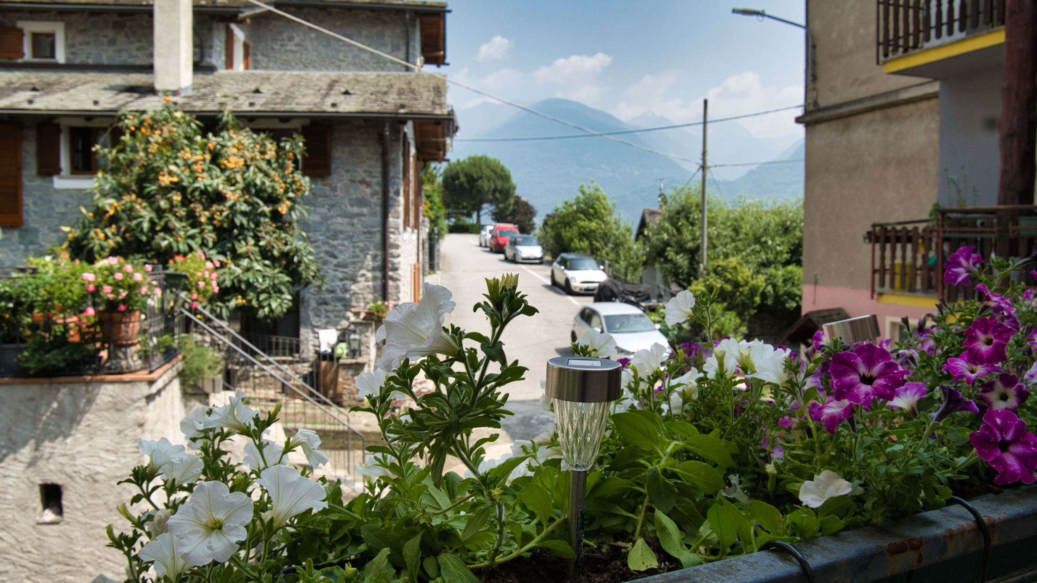 Italianway Traona Il giardino Segreto