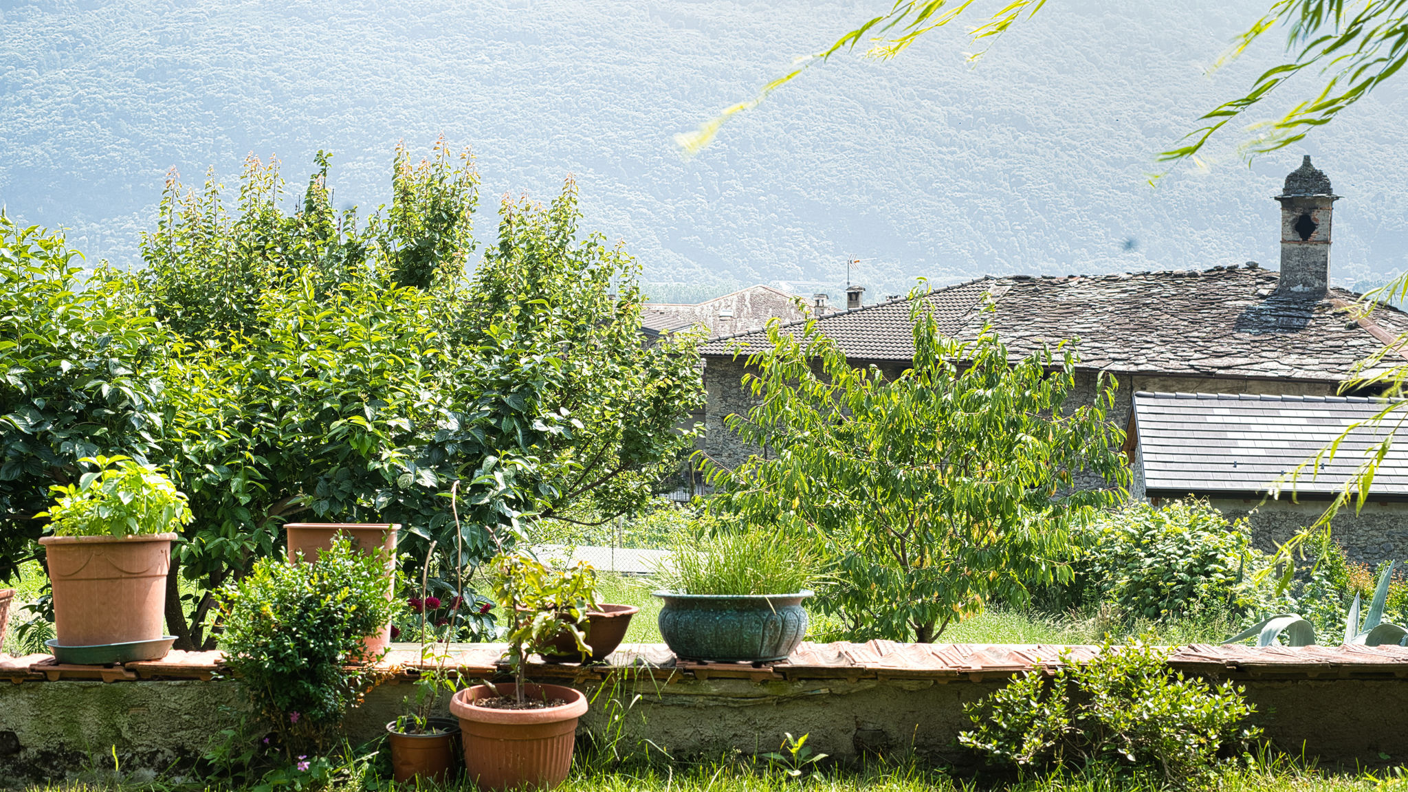 Italianway Traona Il giardino Segreto
