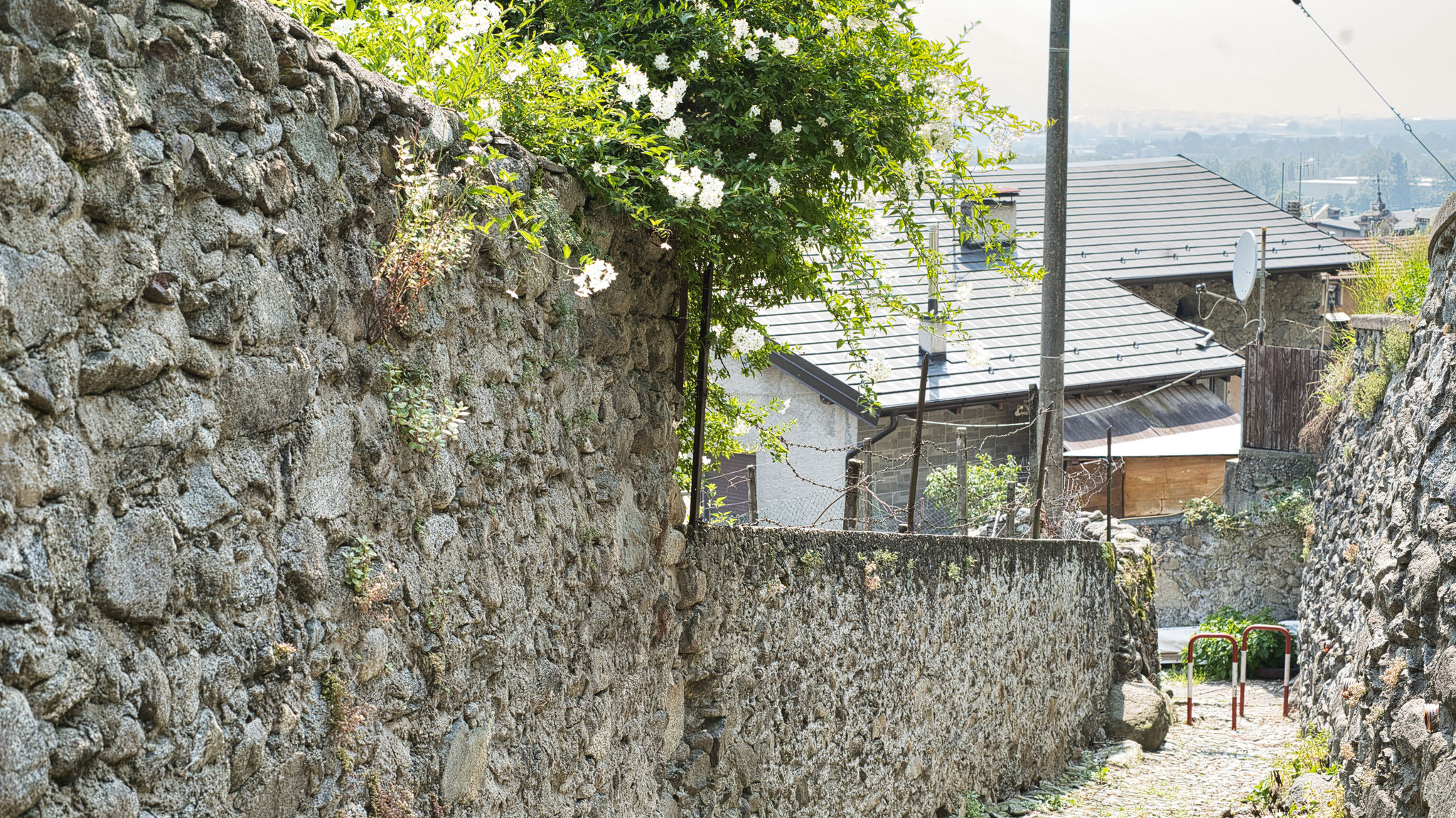 Italianway Traona Il giardino Segreto