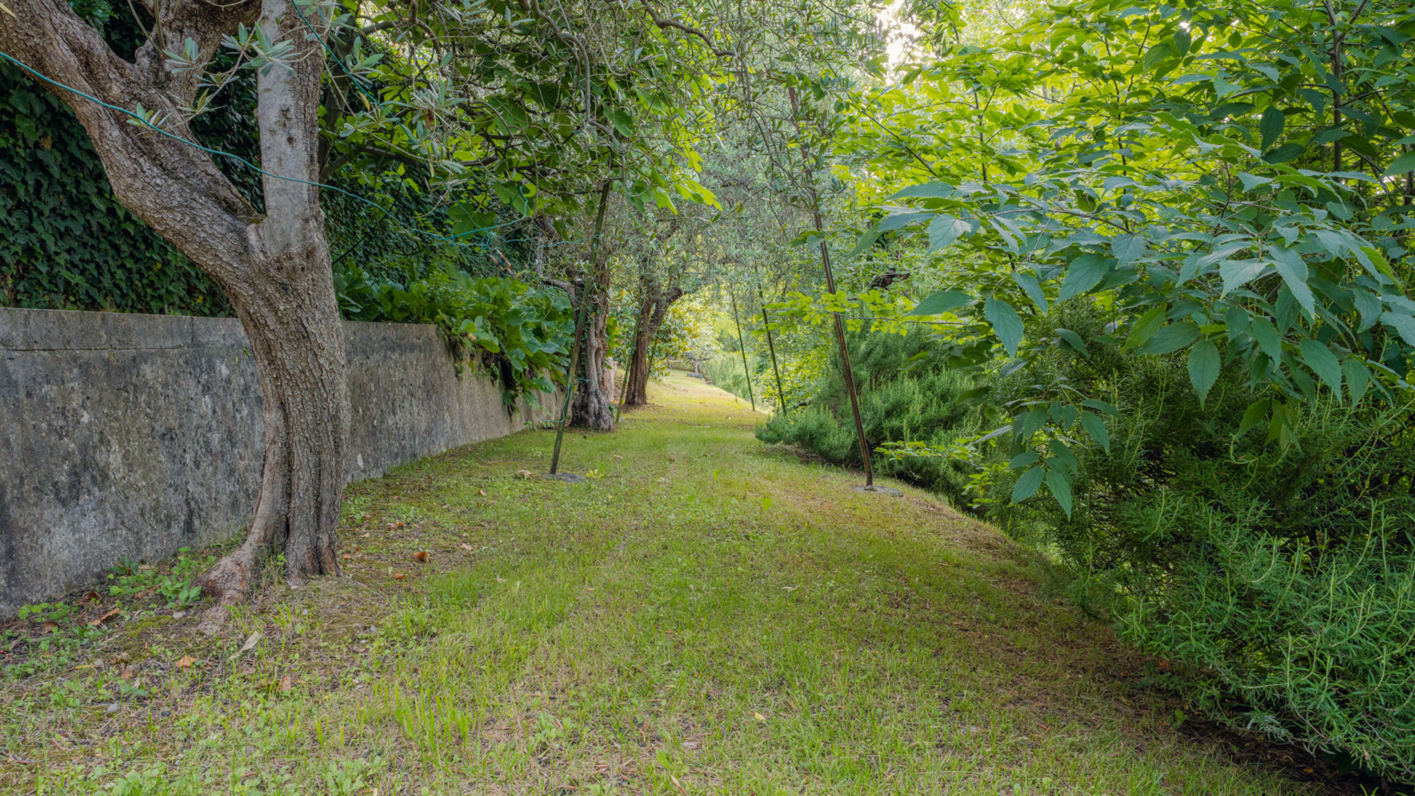 Italianway Padenghe sul Garda Villa CastleGrace Lake Garda