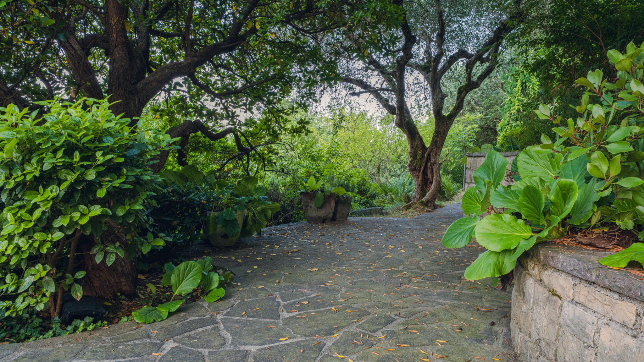 Italianway Padenghe sul Garda Villa CastleGrace Lake Garda