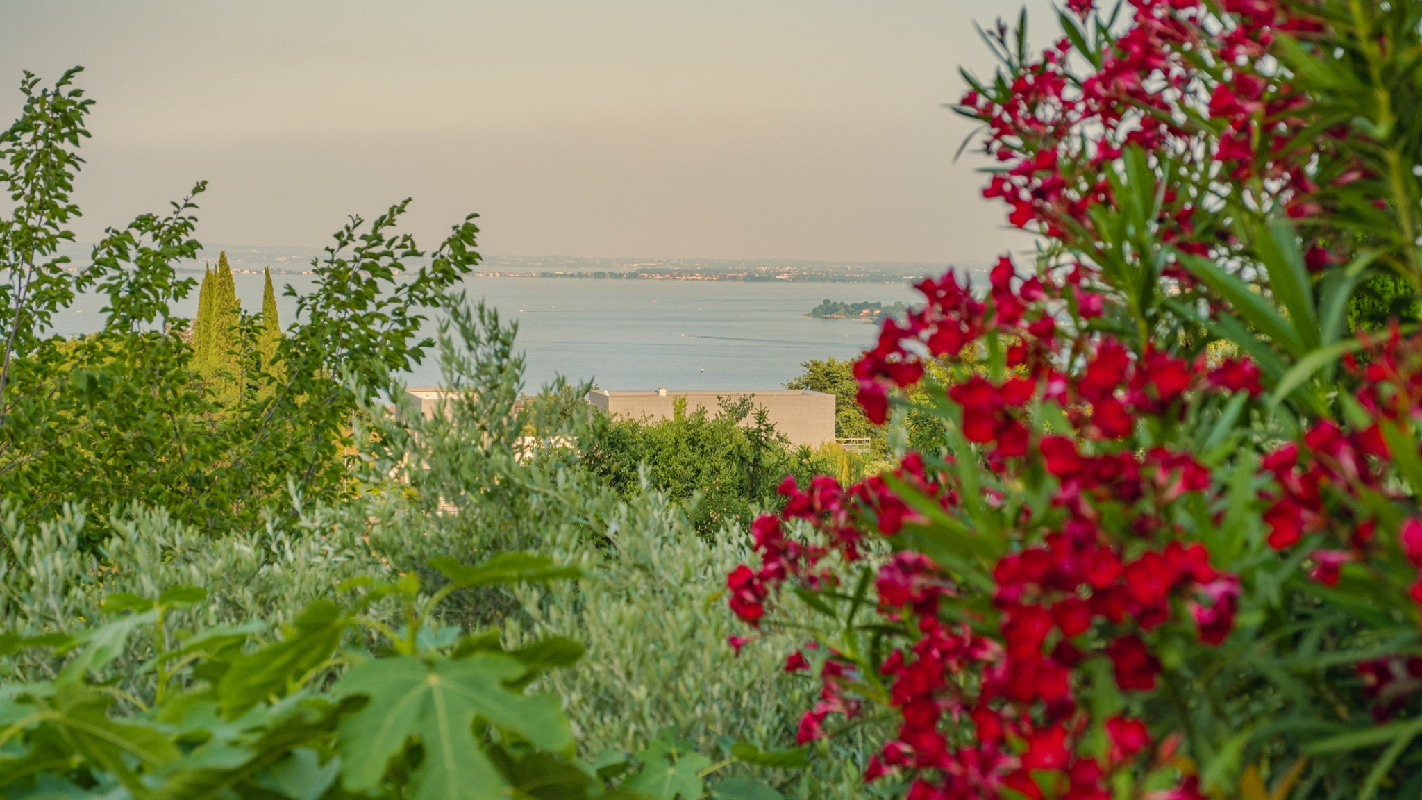 Italianway Padenghe sul Garda Villa CastleGrace Lake Garda
