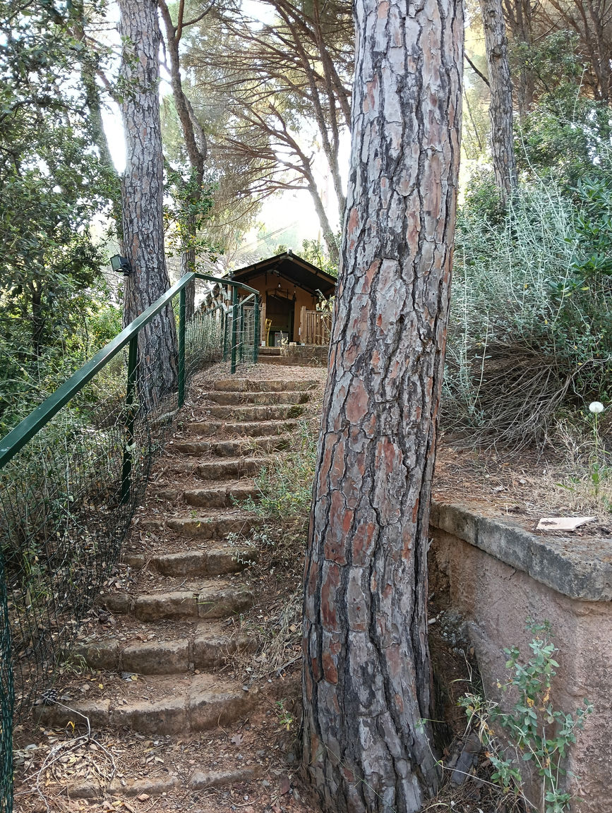 Italianway Portoferraio CS Glamping 7 - Tenda