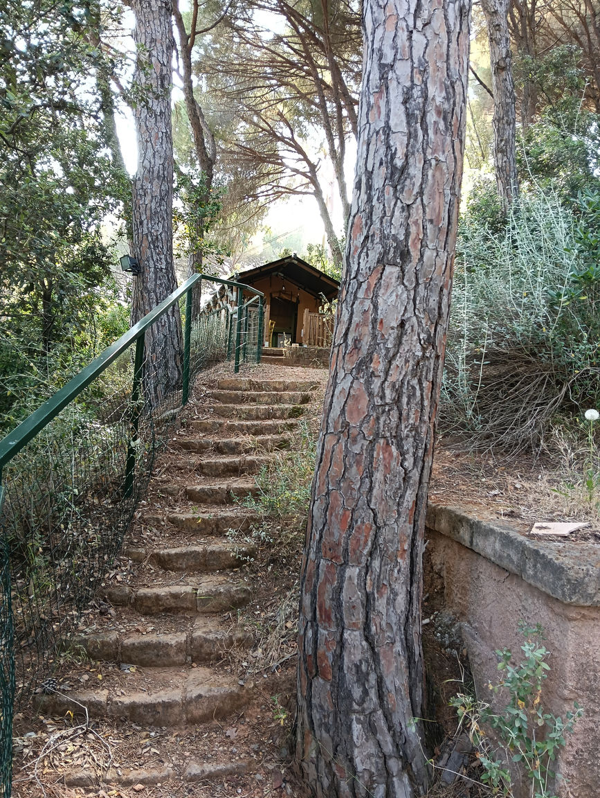 Italianway Portoferraio CS Glamping 7 - Tenda