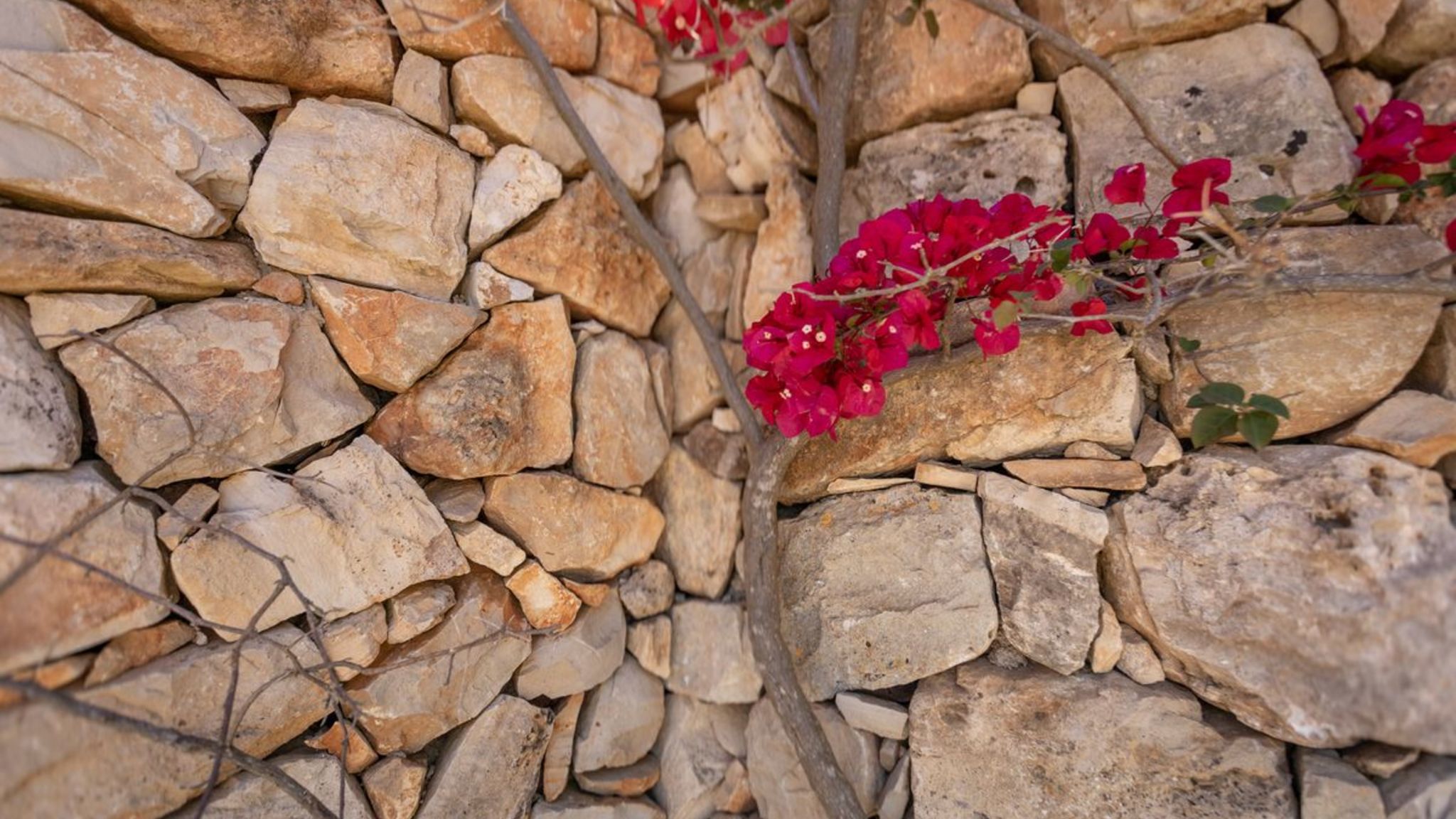 Italianway Alliste Trulli di Weili - Salento Reservation